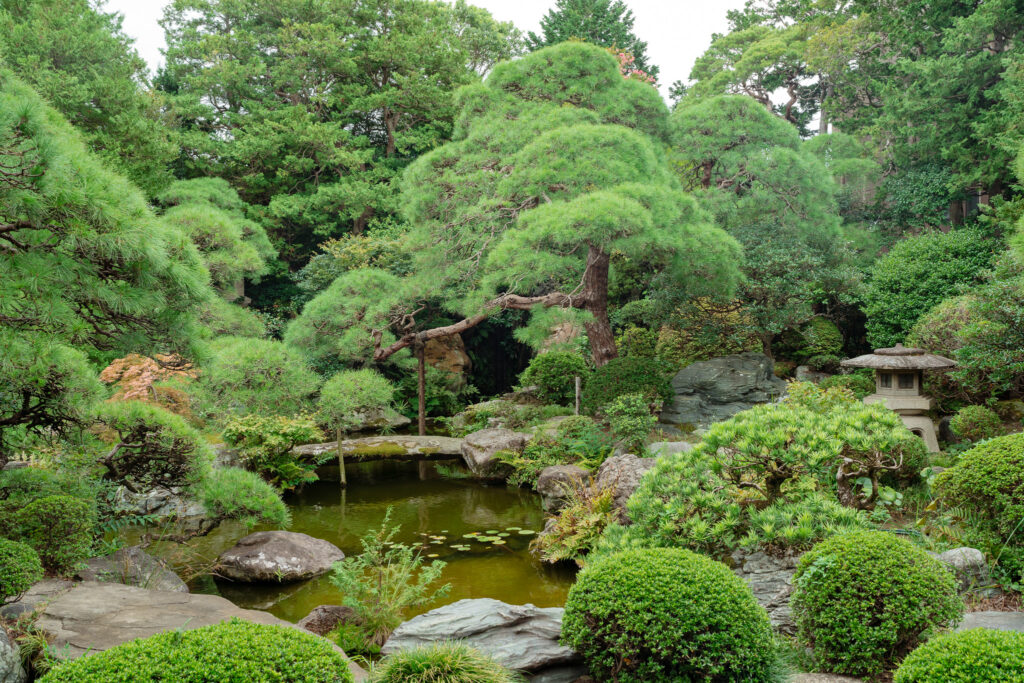 jardin yamamoto tei