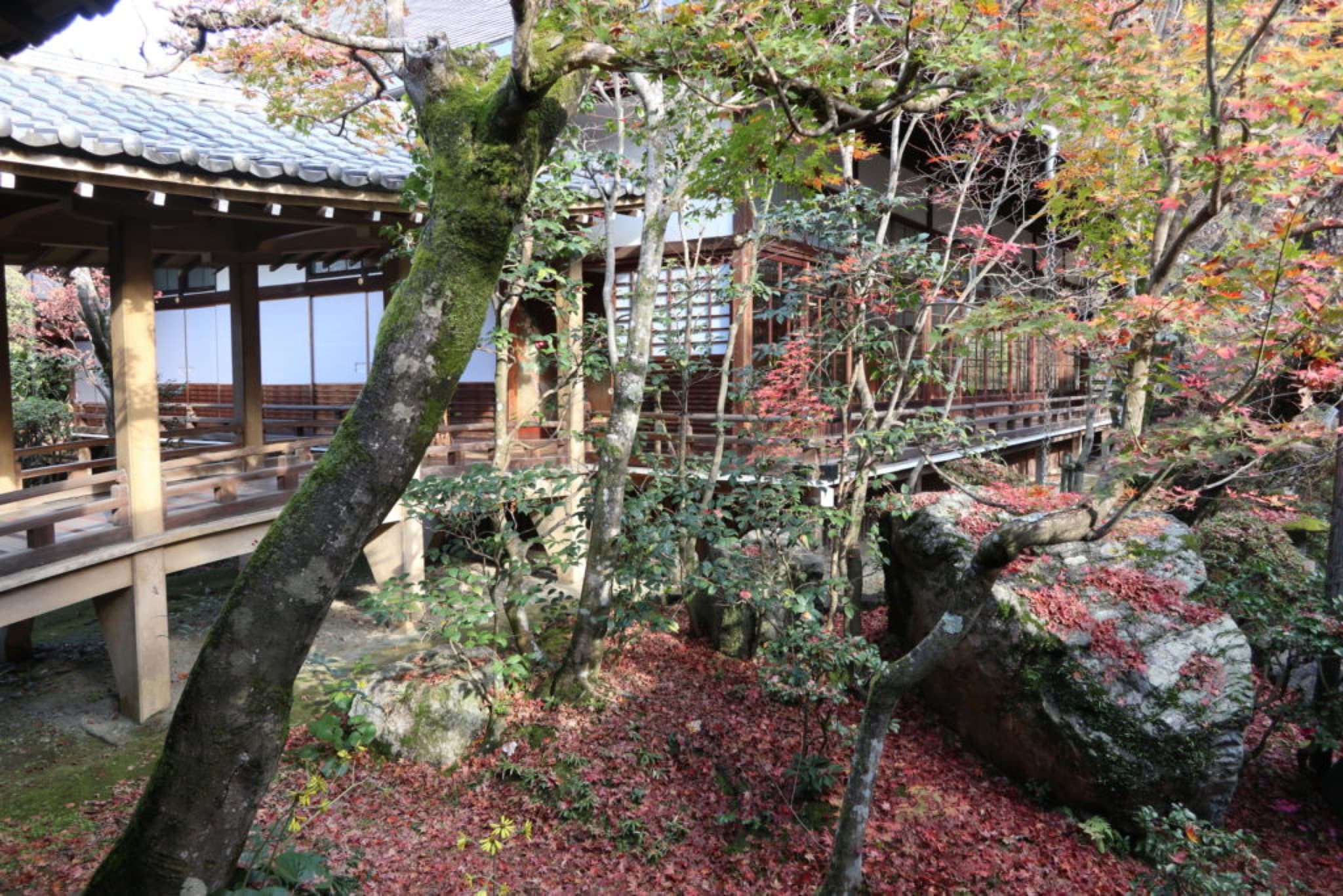 kyoto eikando