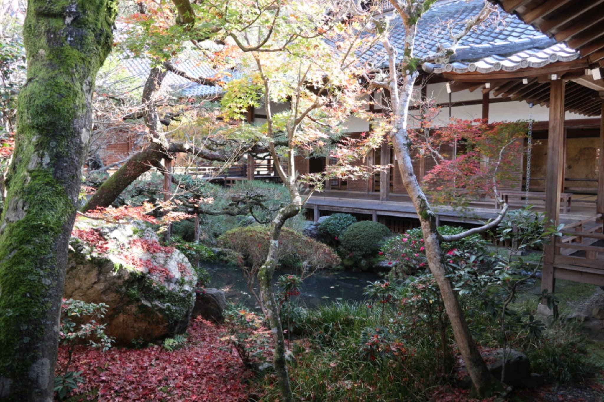 kyoto eikando