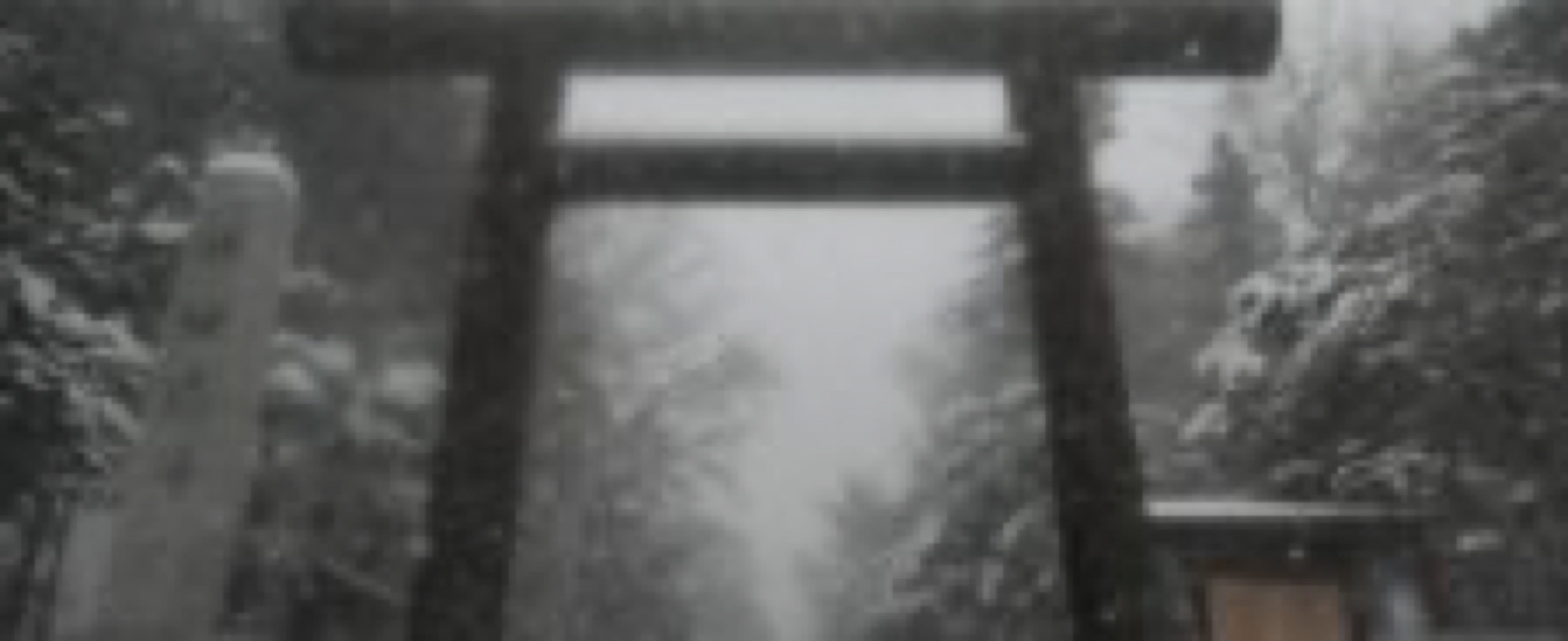 hokkaido jingu