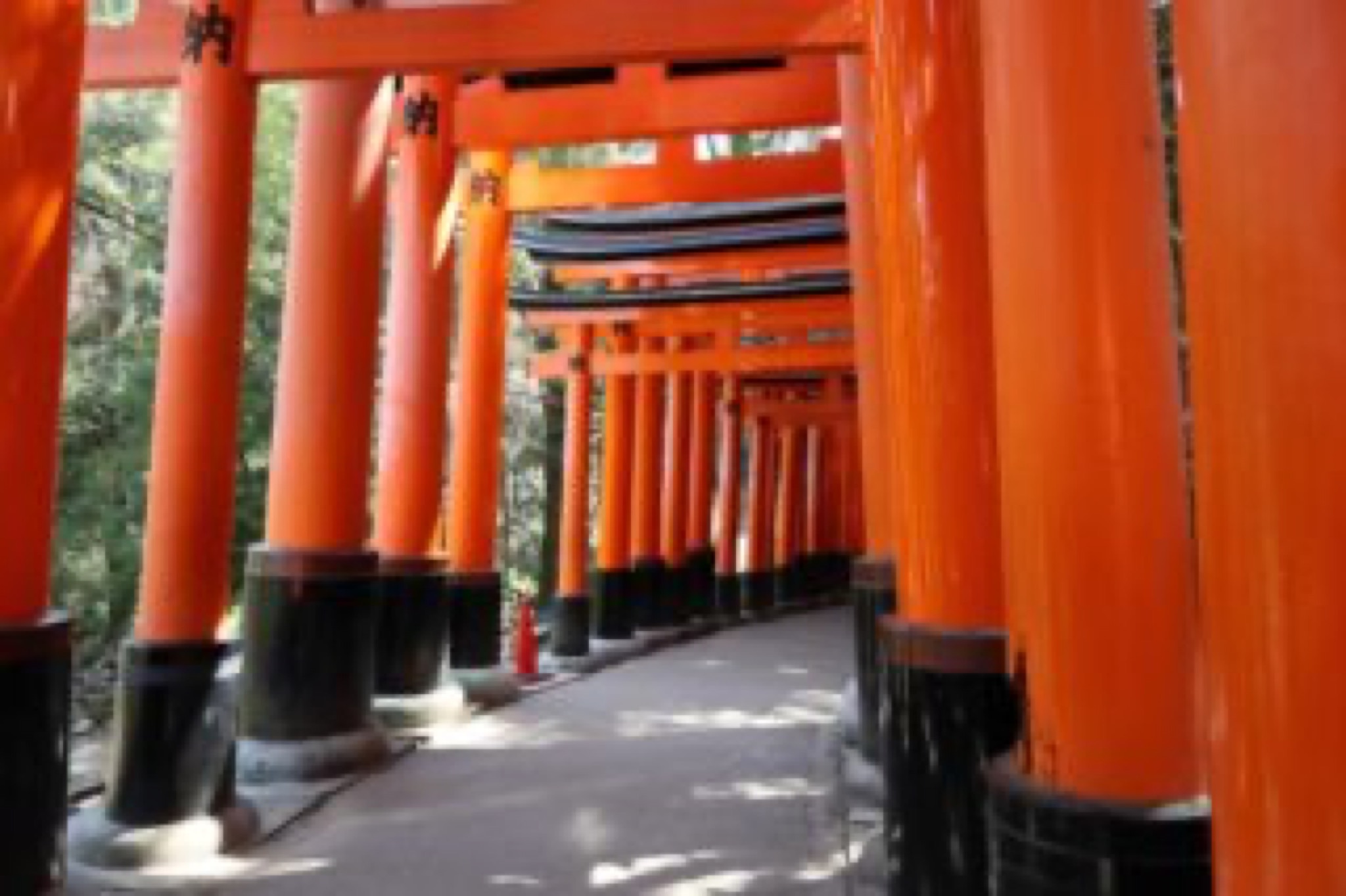 fushimi inari kyoto