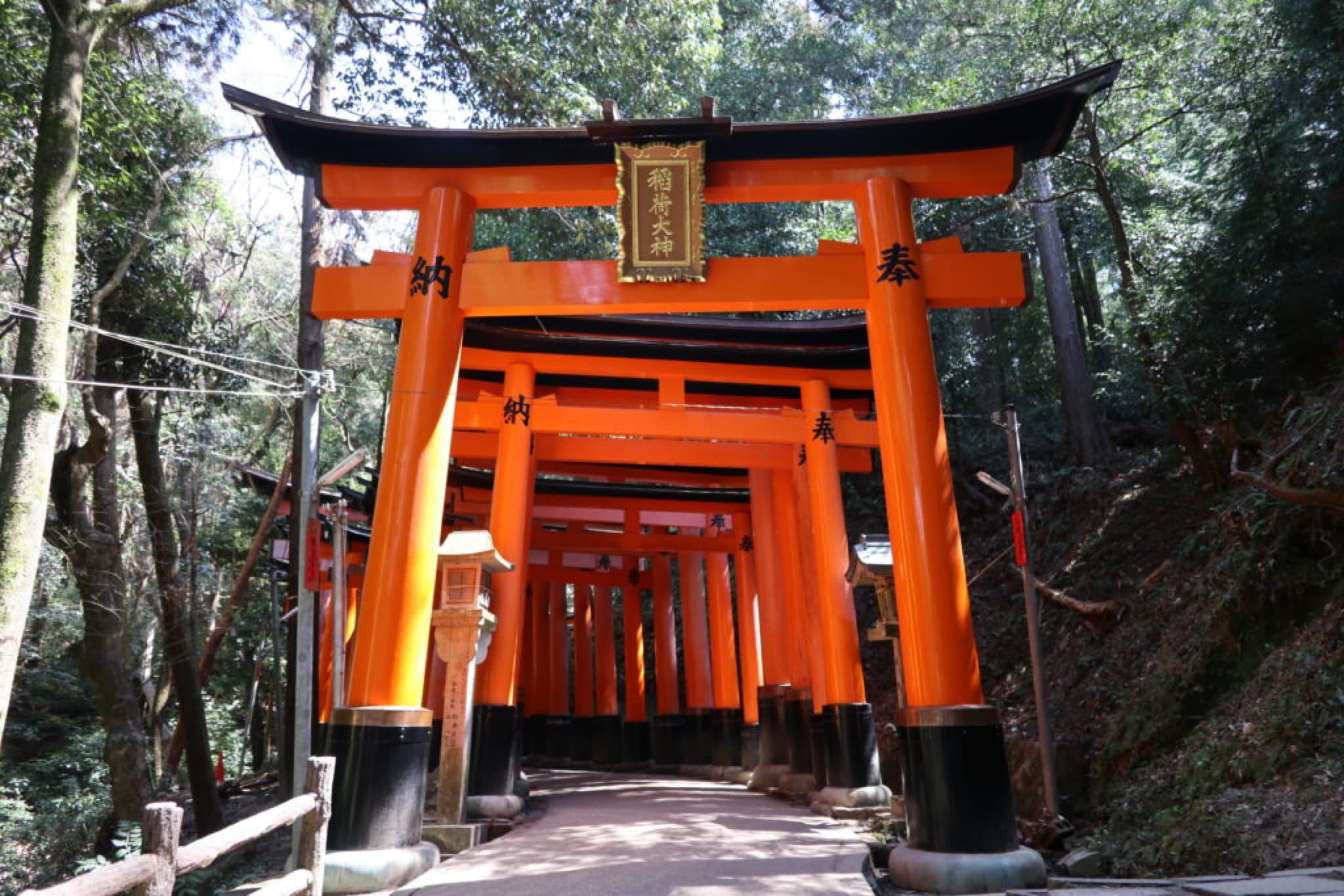 fushimi inari taish