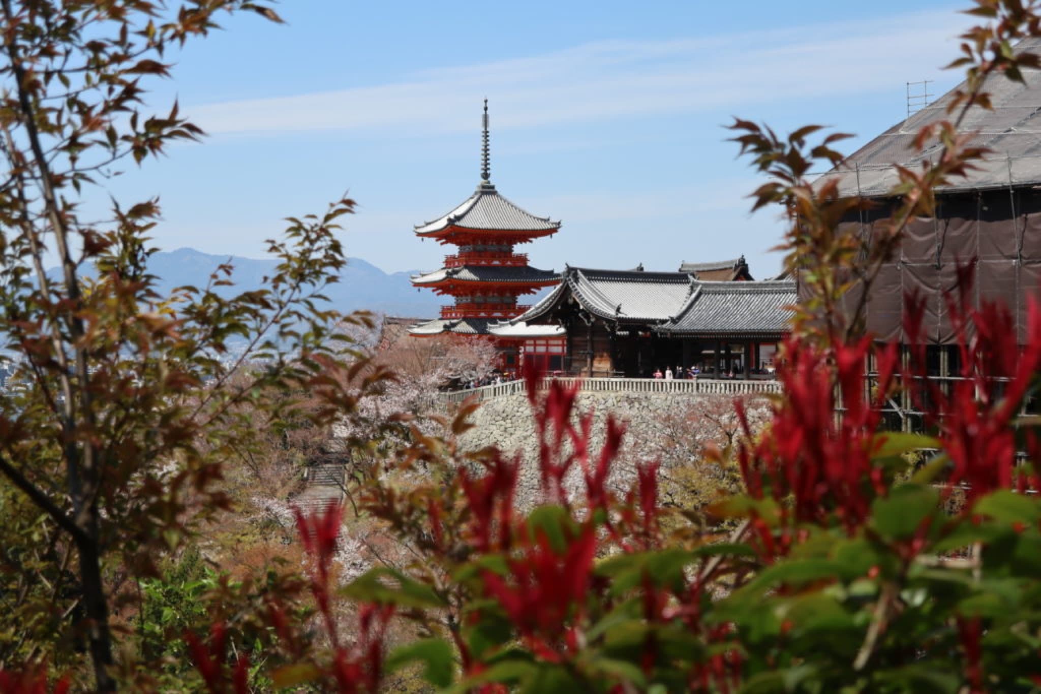 kiyomizu dera