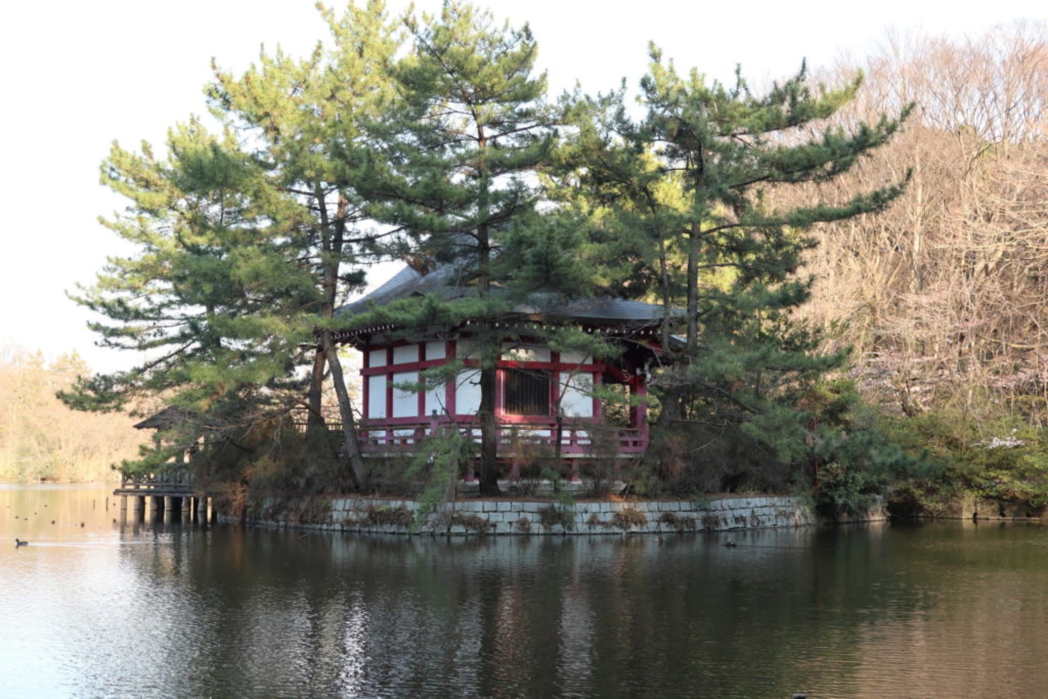 shakuji koen