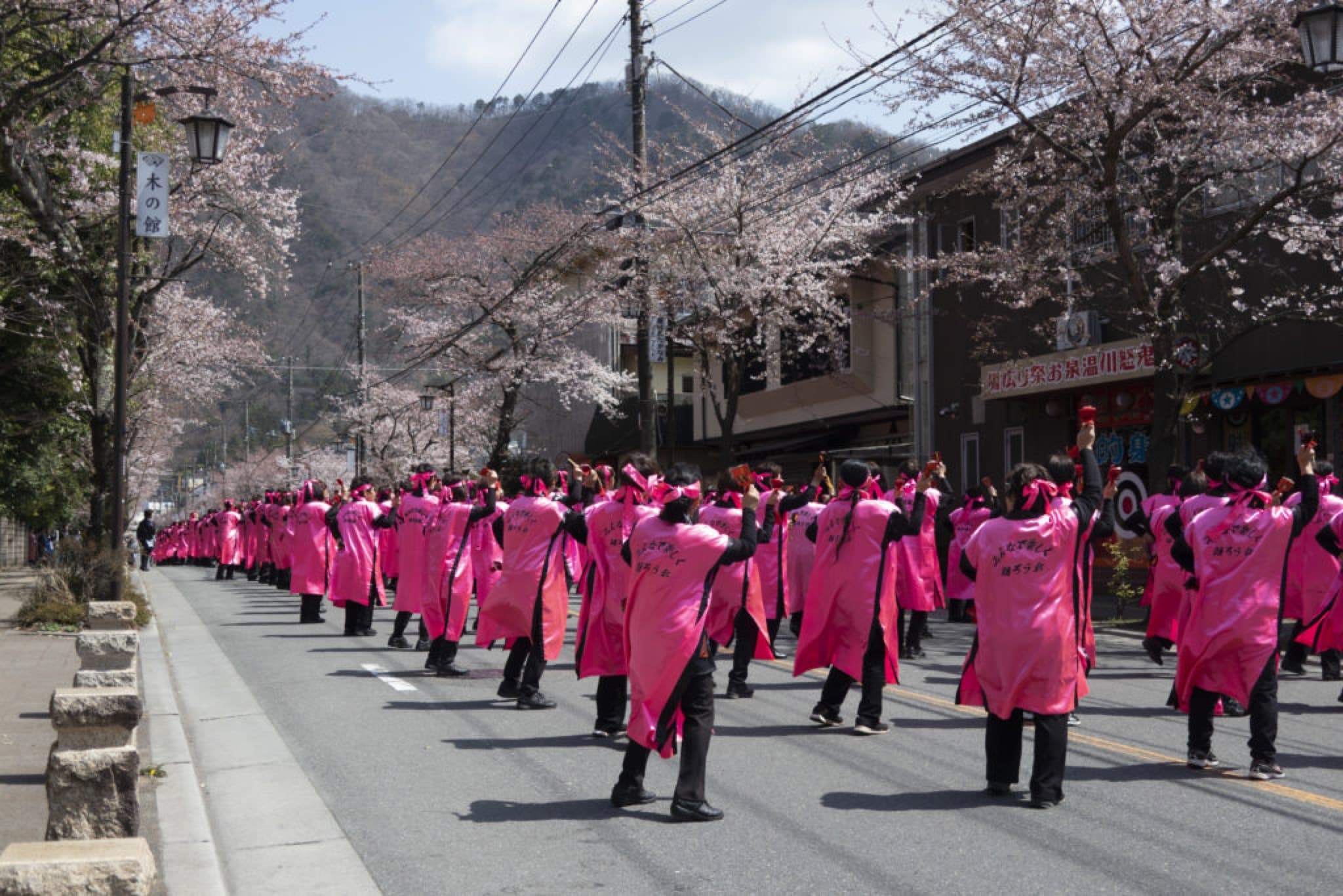 kinugawa sakura matsuri