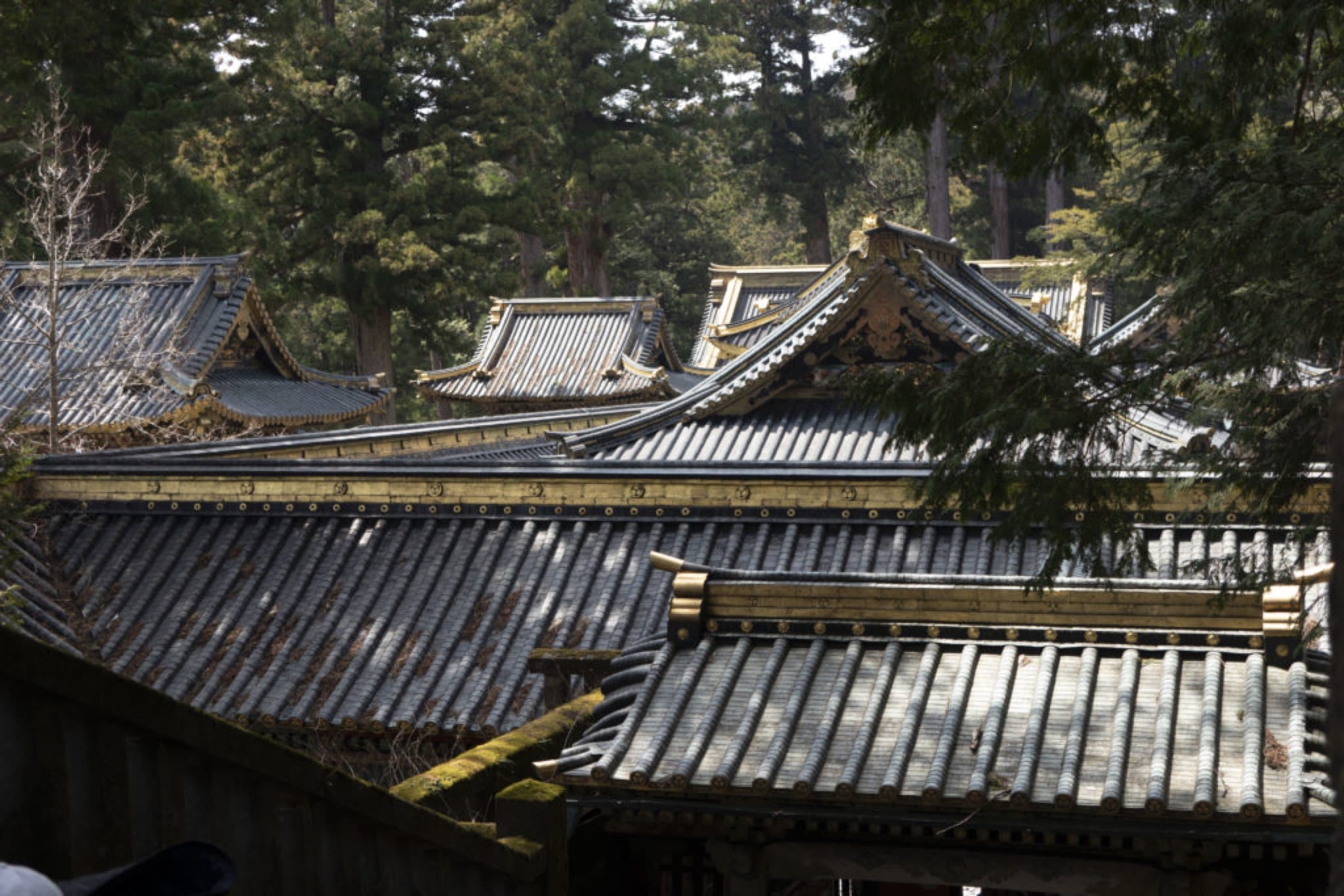 nikko toshogu