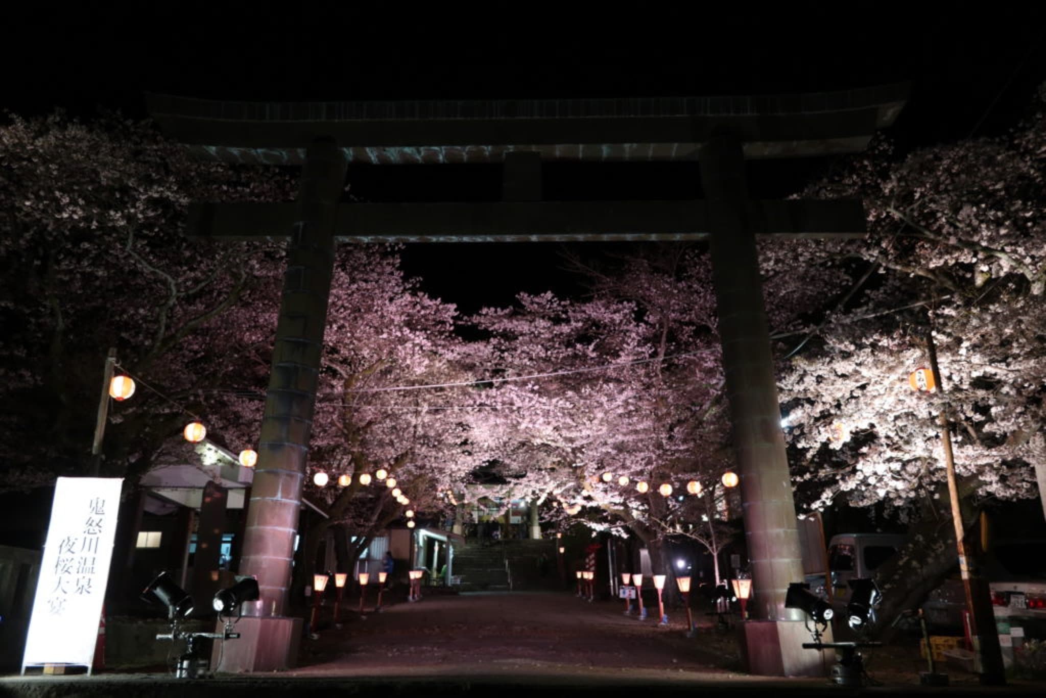 kinugawa yozakura matsuri