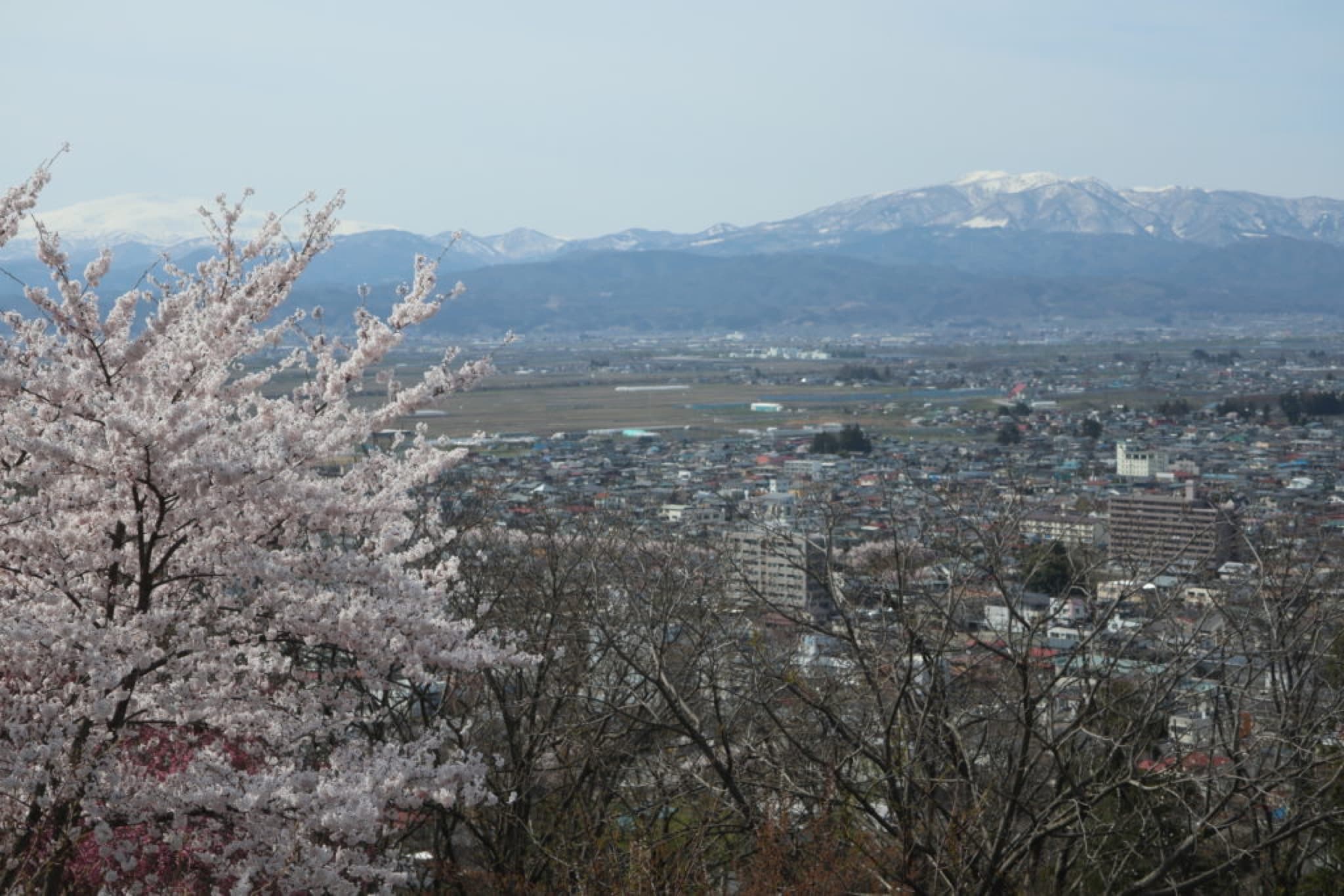 yamagata tendo