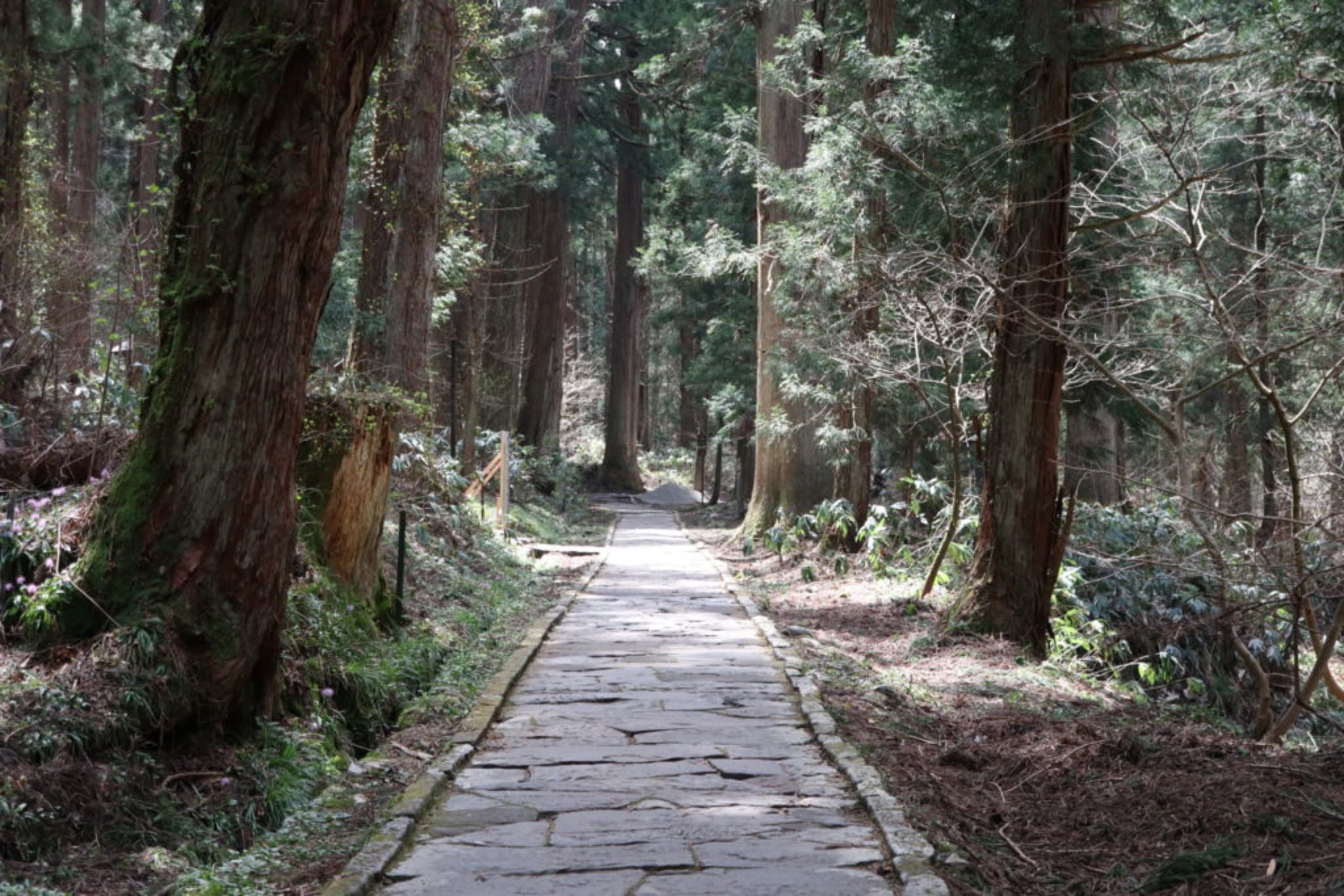 haguro san