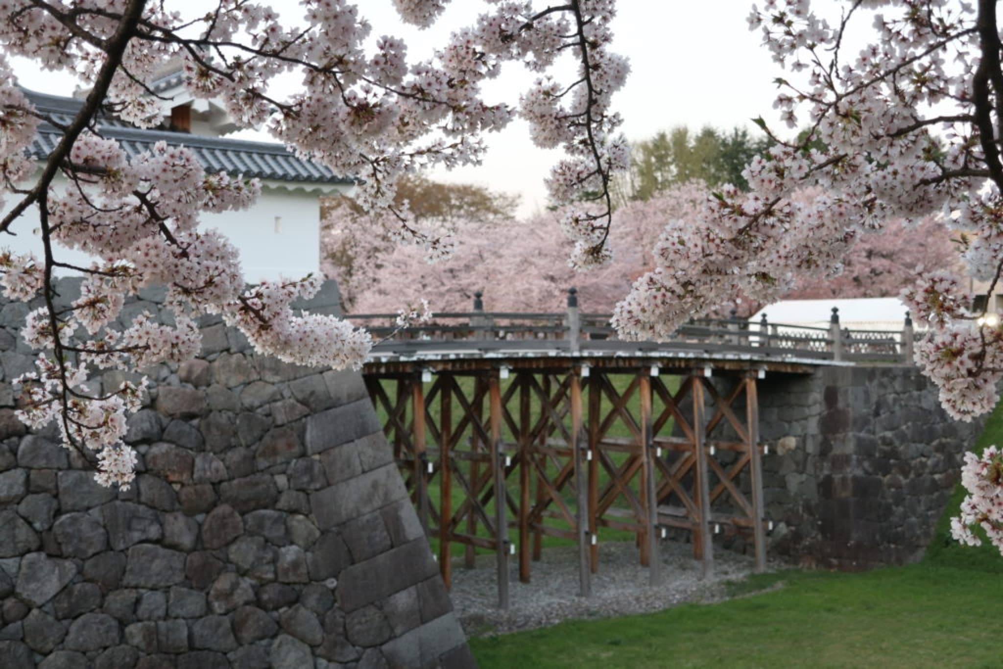 kajo yamagata