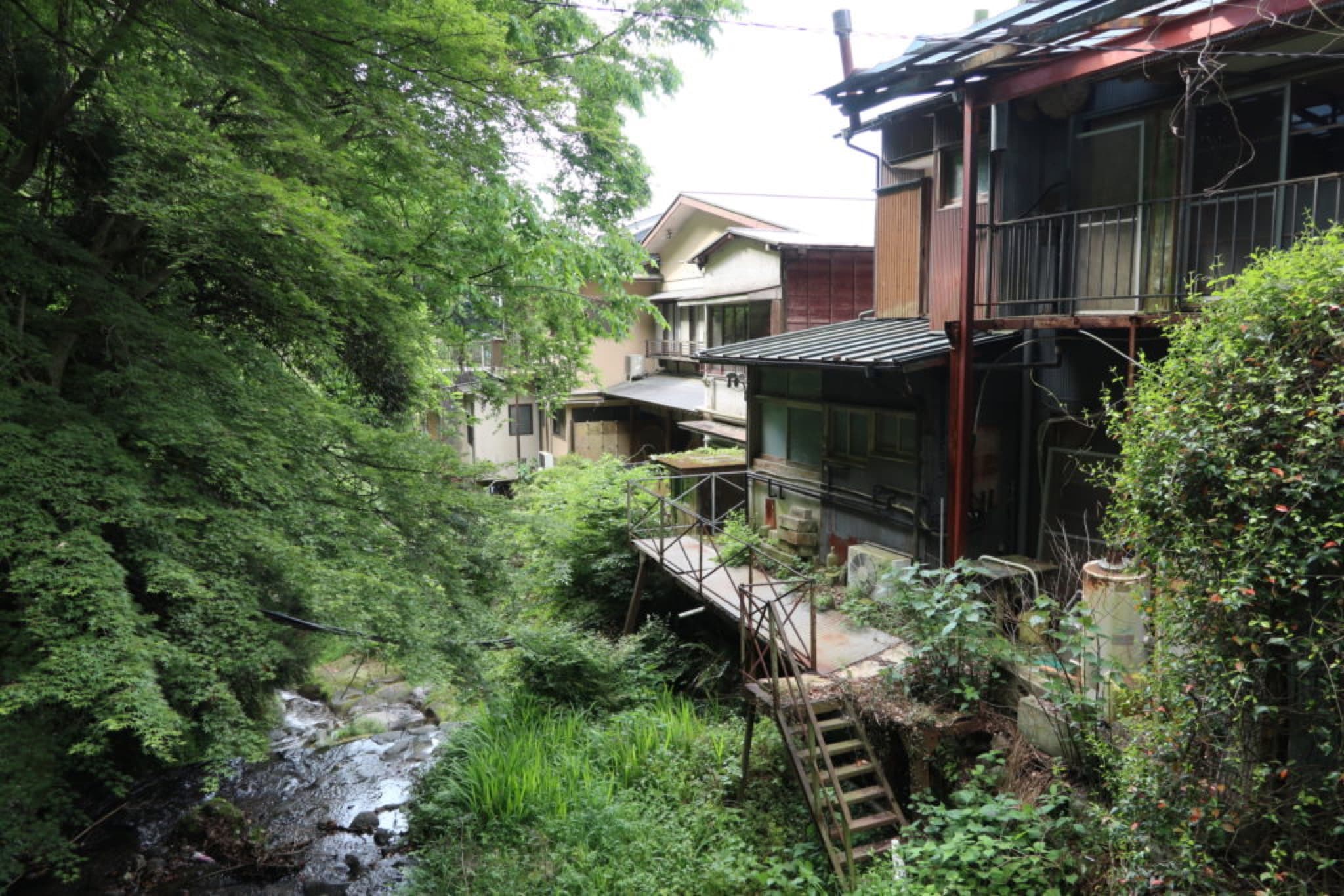 oyama verdure