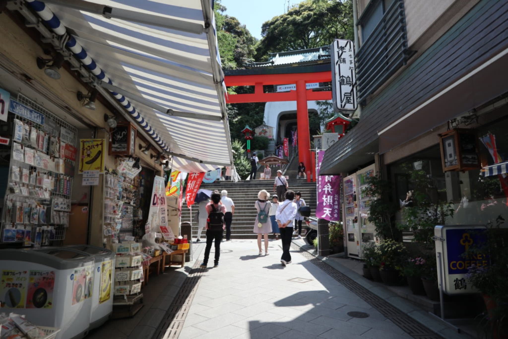 enoshima rue