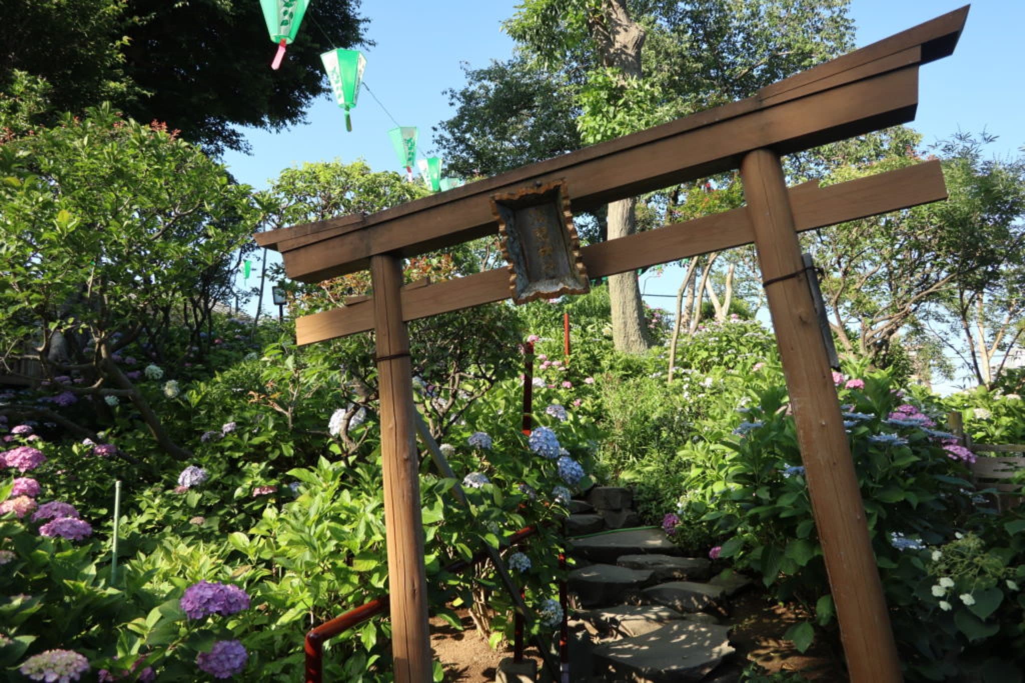 hortensia tokyo
