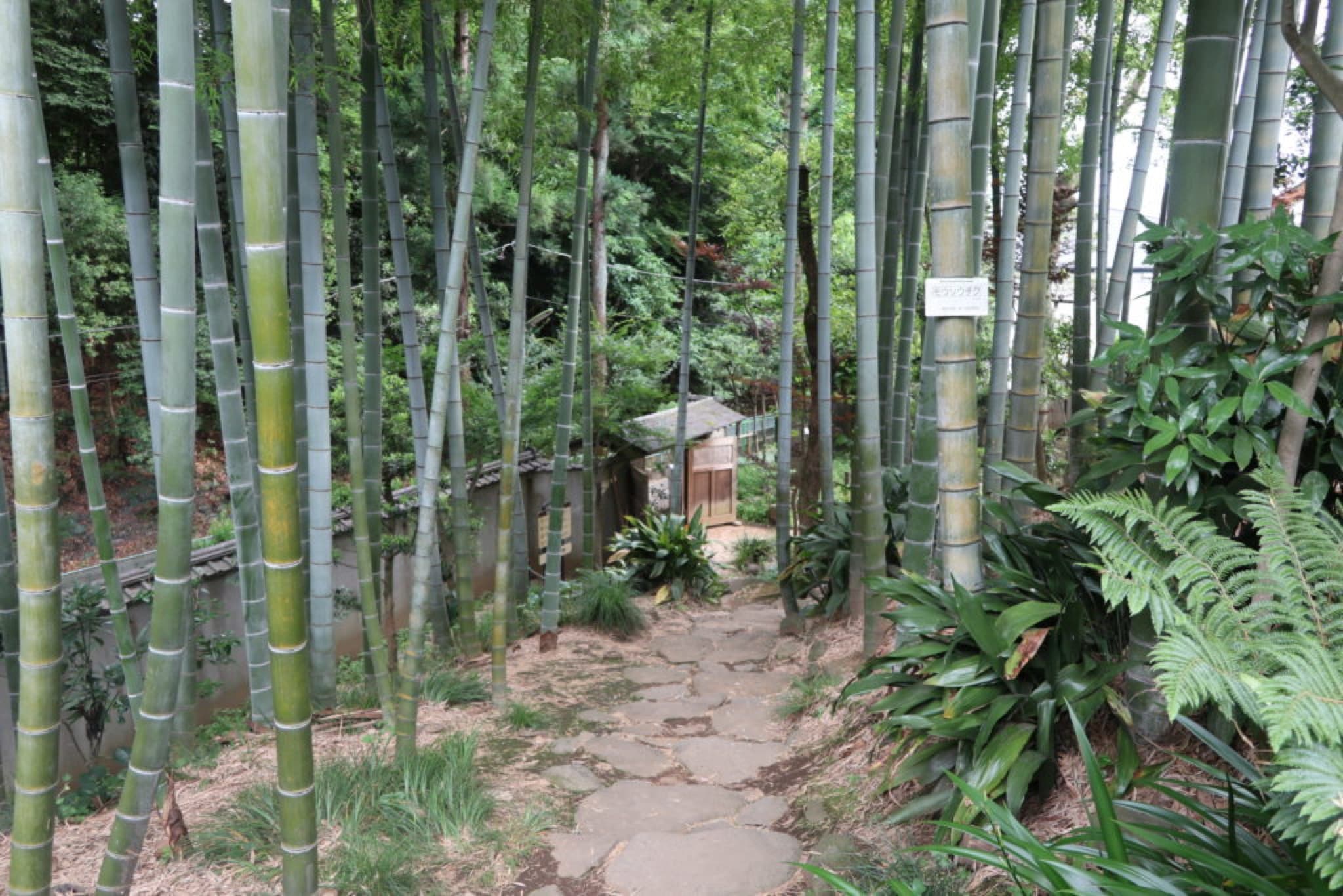 jardin todoroki