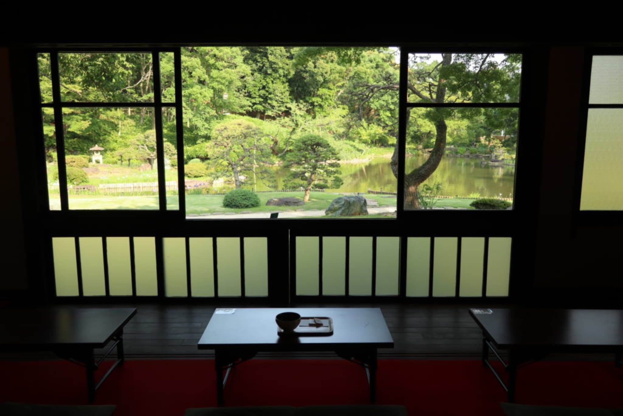 matcha shin edogawa