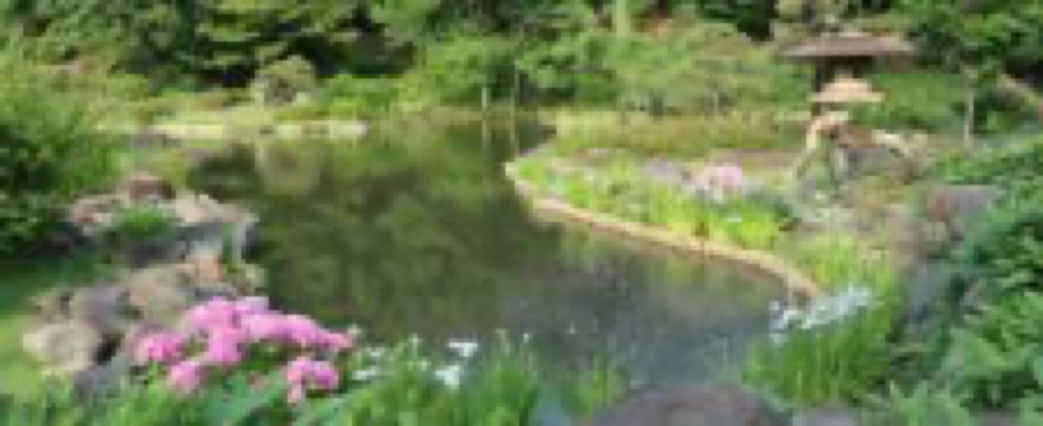 bons plans tokyo