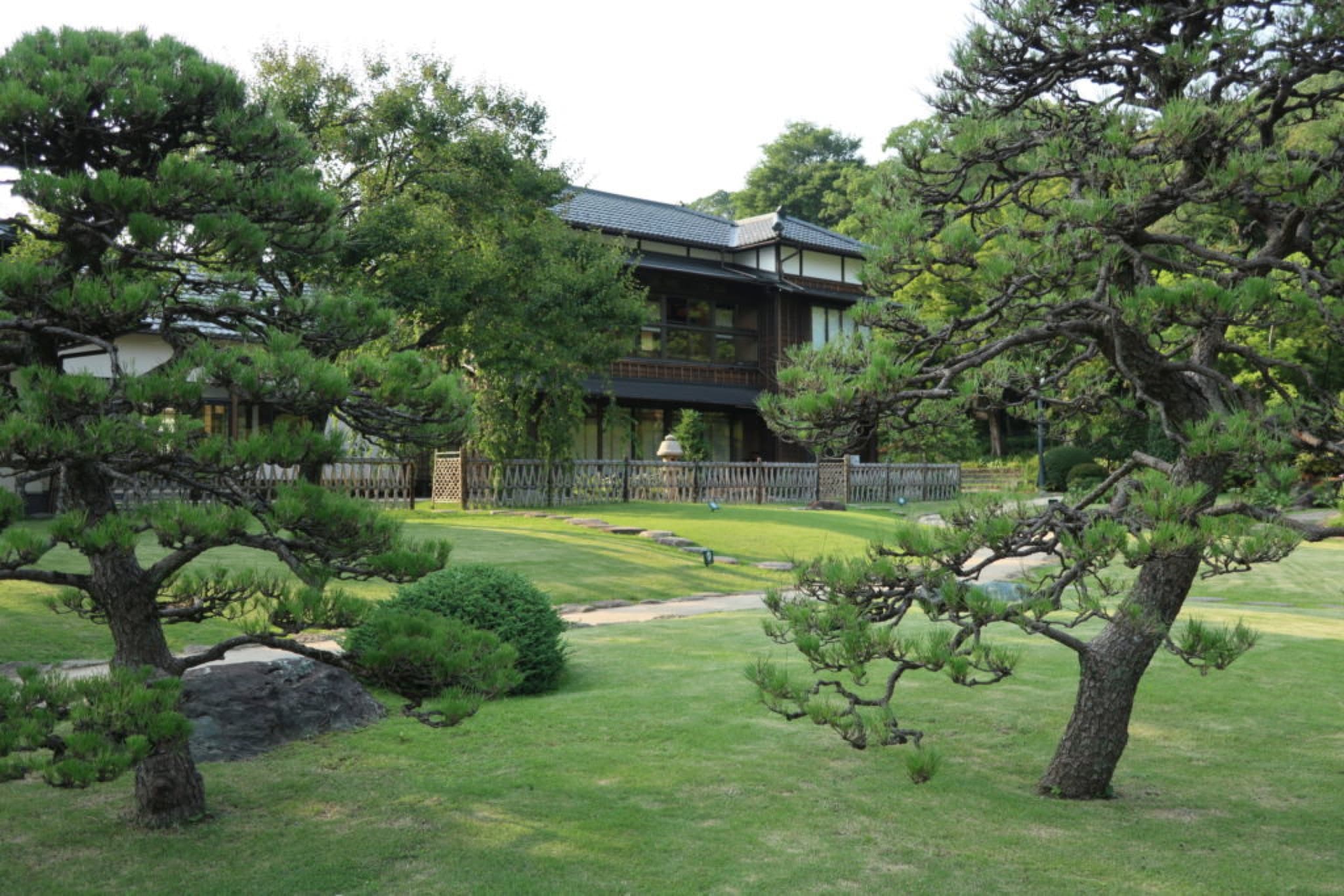shin edogawa