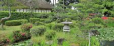 myosenji sado