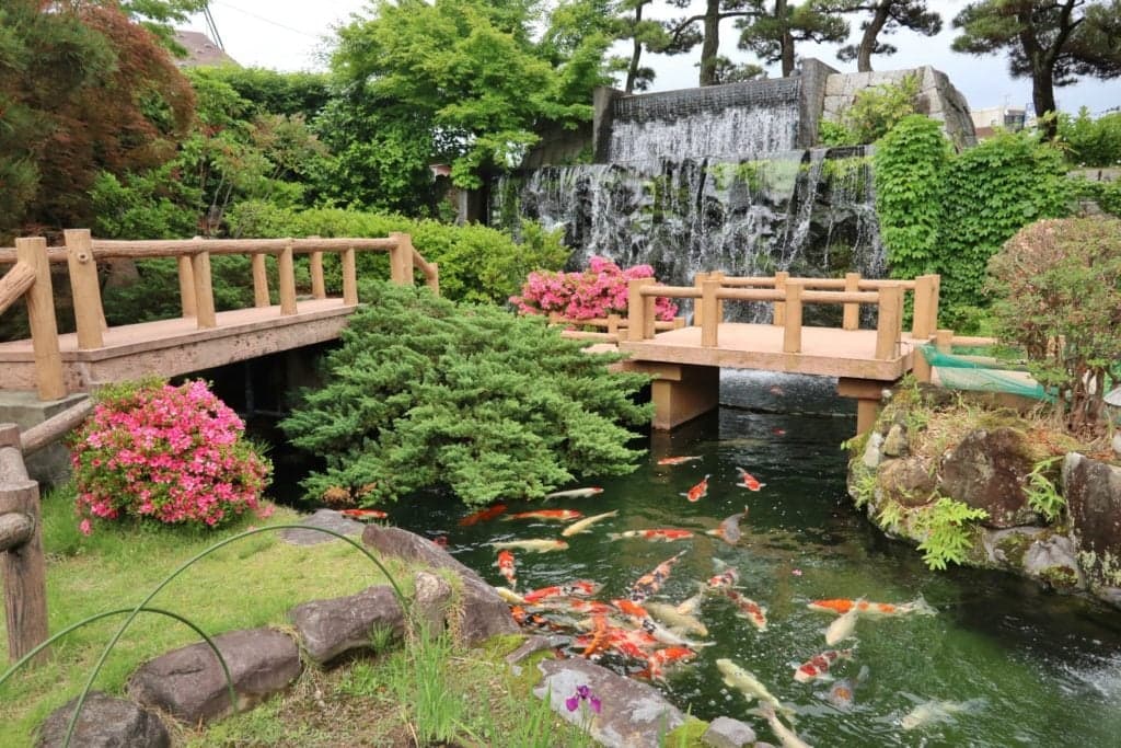 nishikigoi no sato