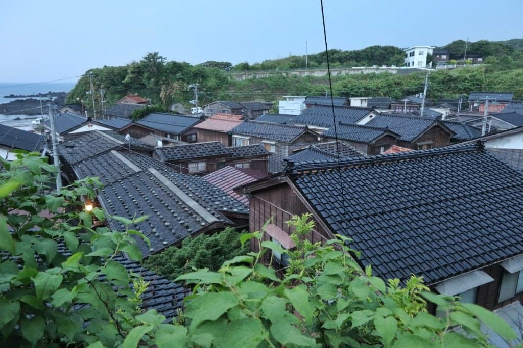 sado shukunegi