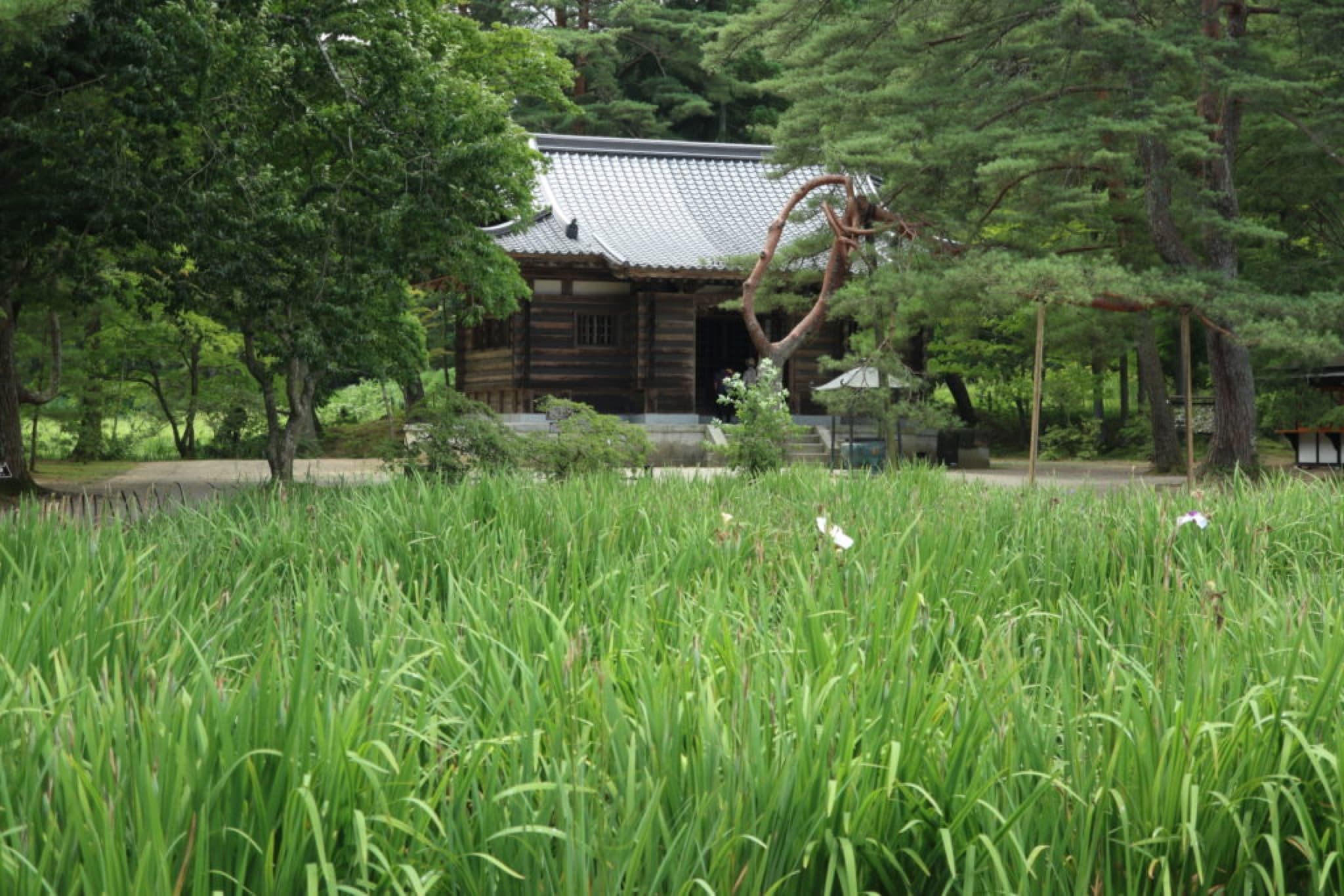 motsuji hiraizumi