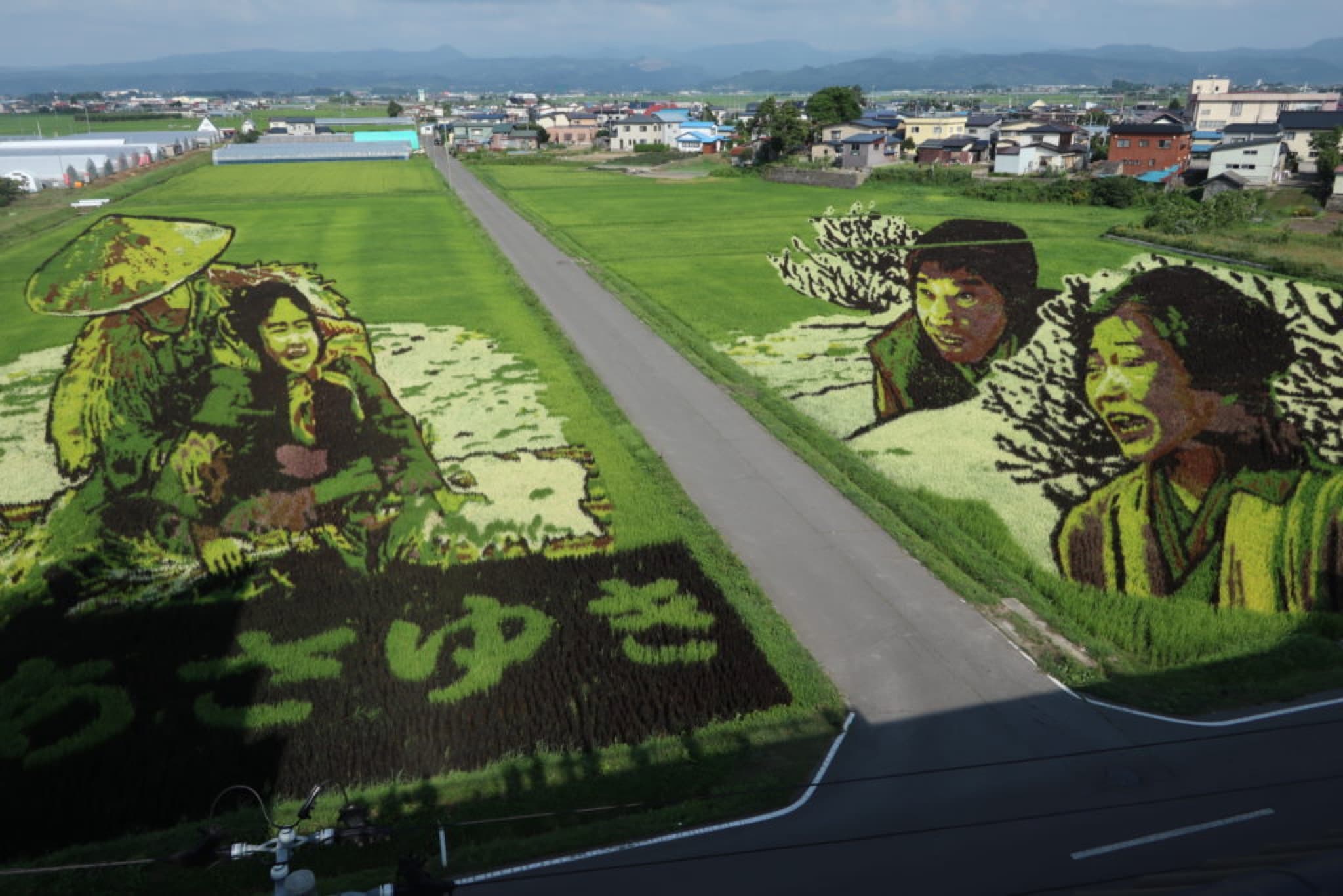 inakadate tanbo art