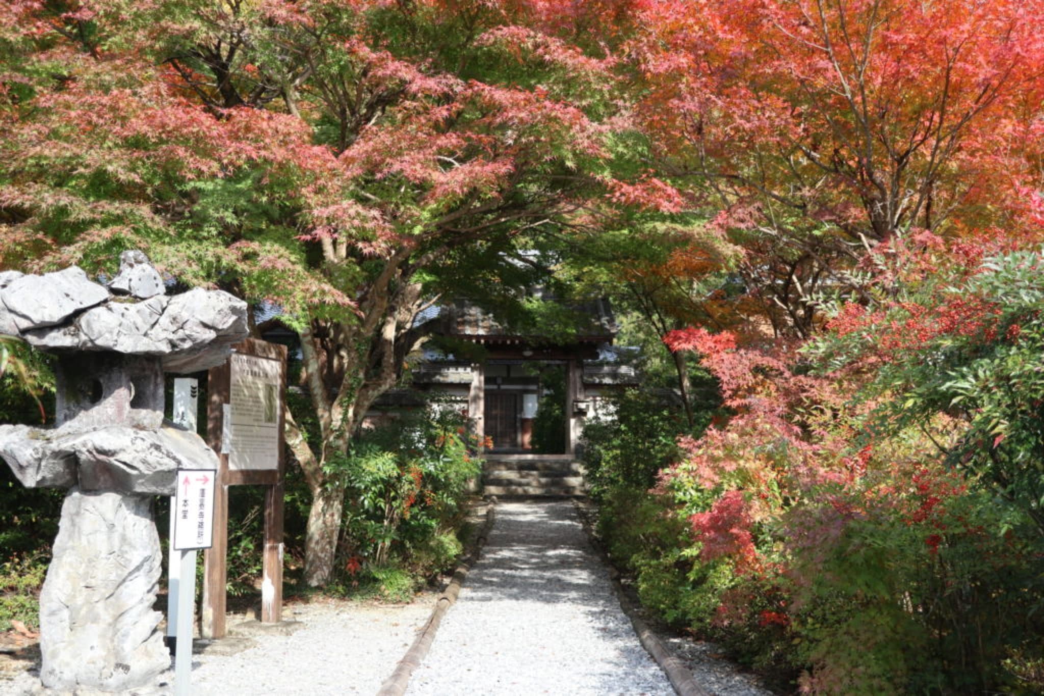 enkoji ogaki
