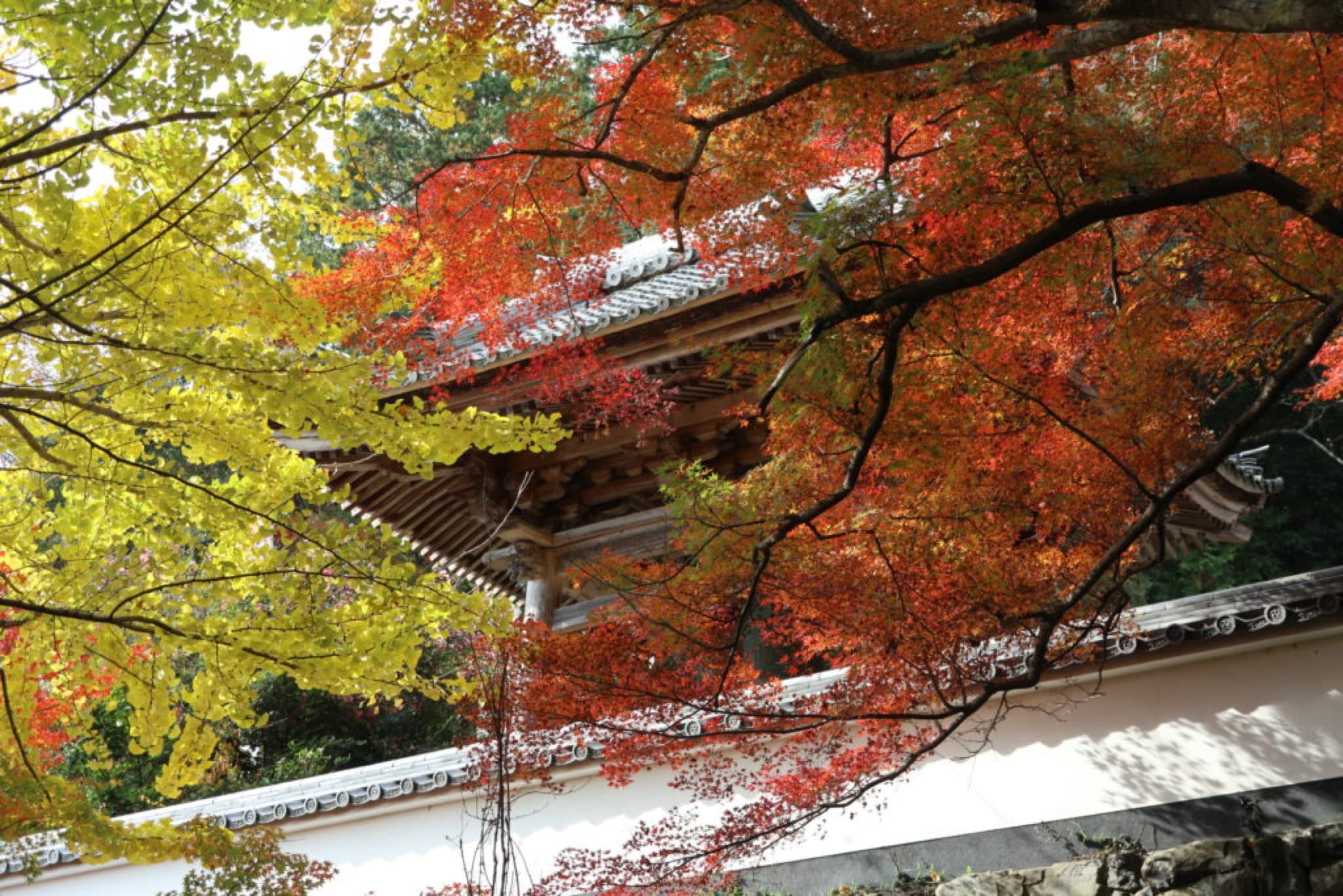 temple enkoji ogaki
