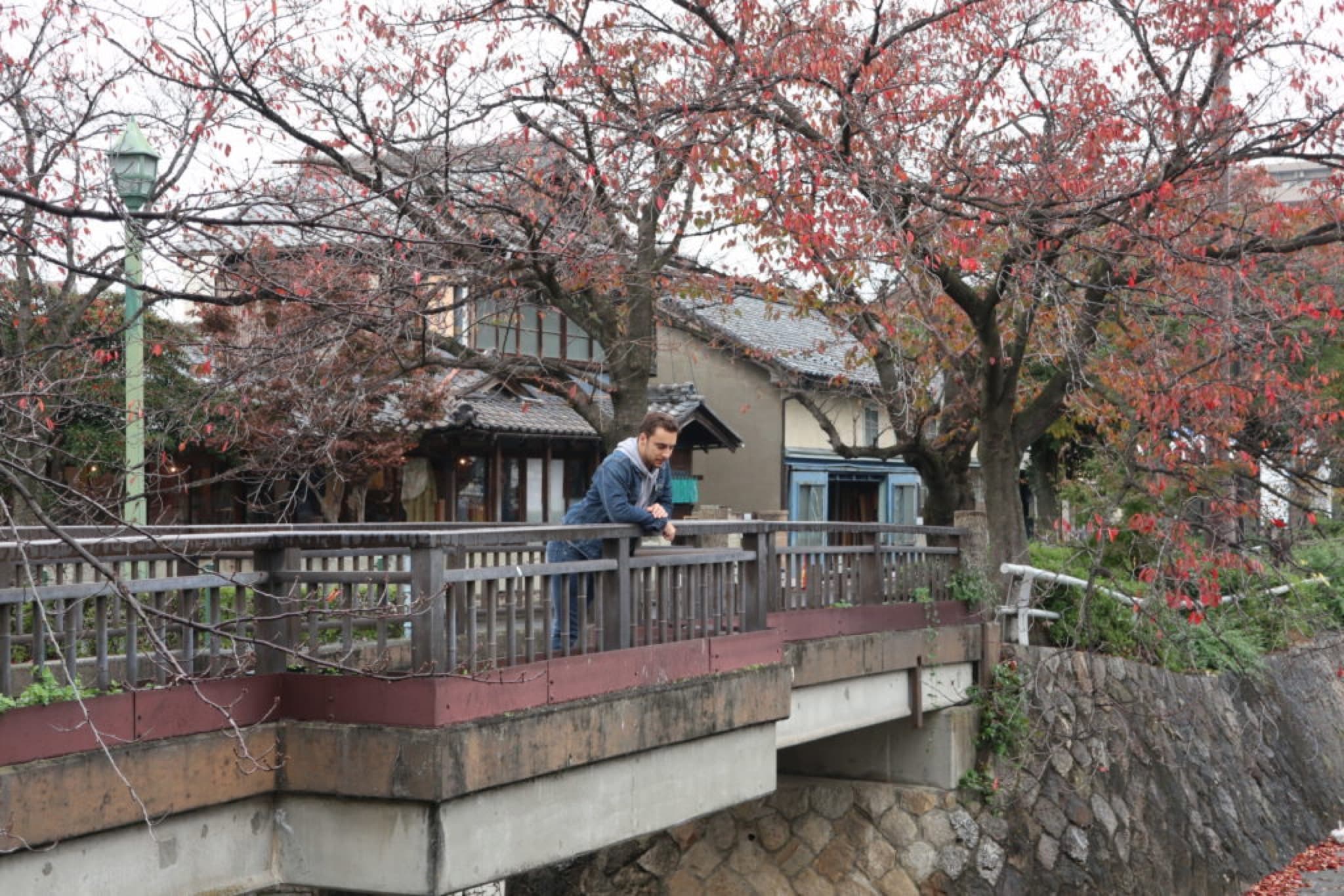 ogaki a silent voice