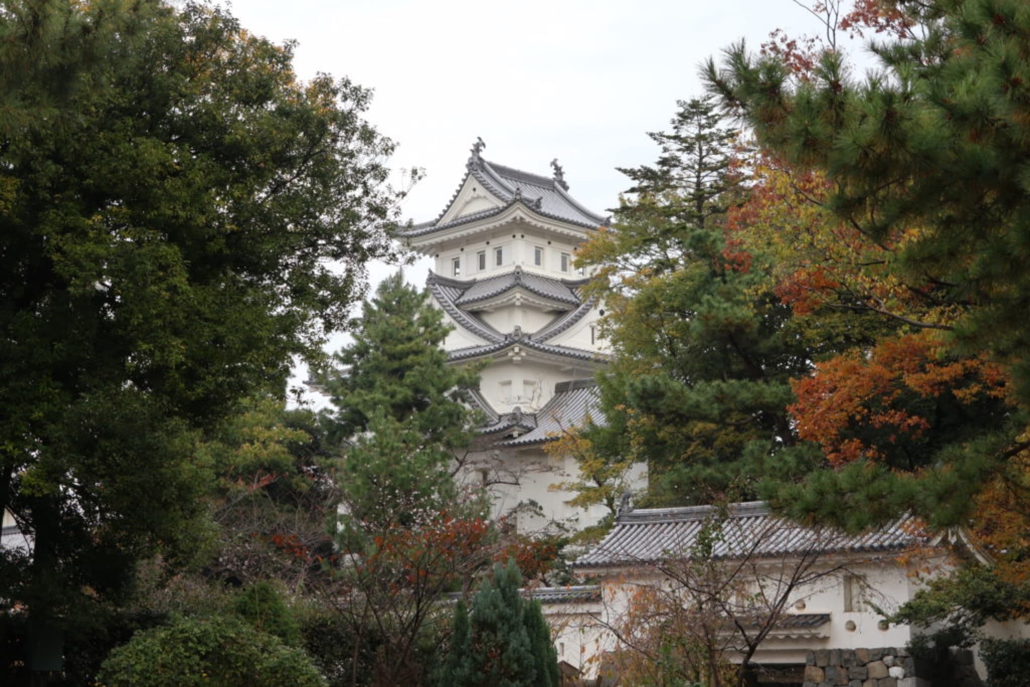 ogaki chateau