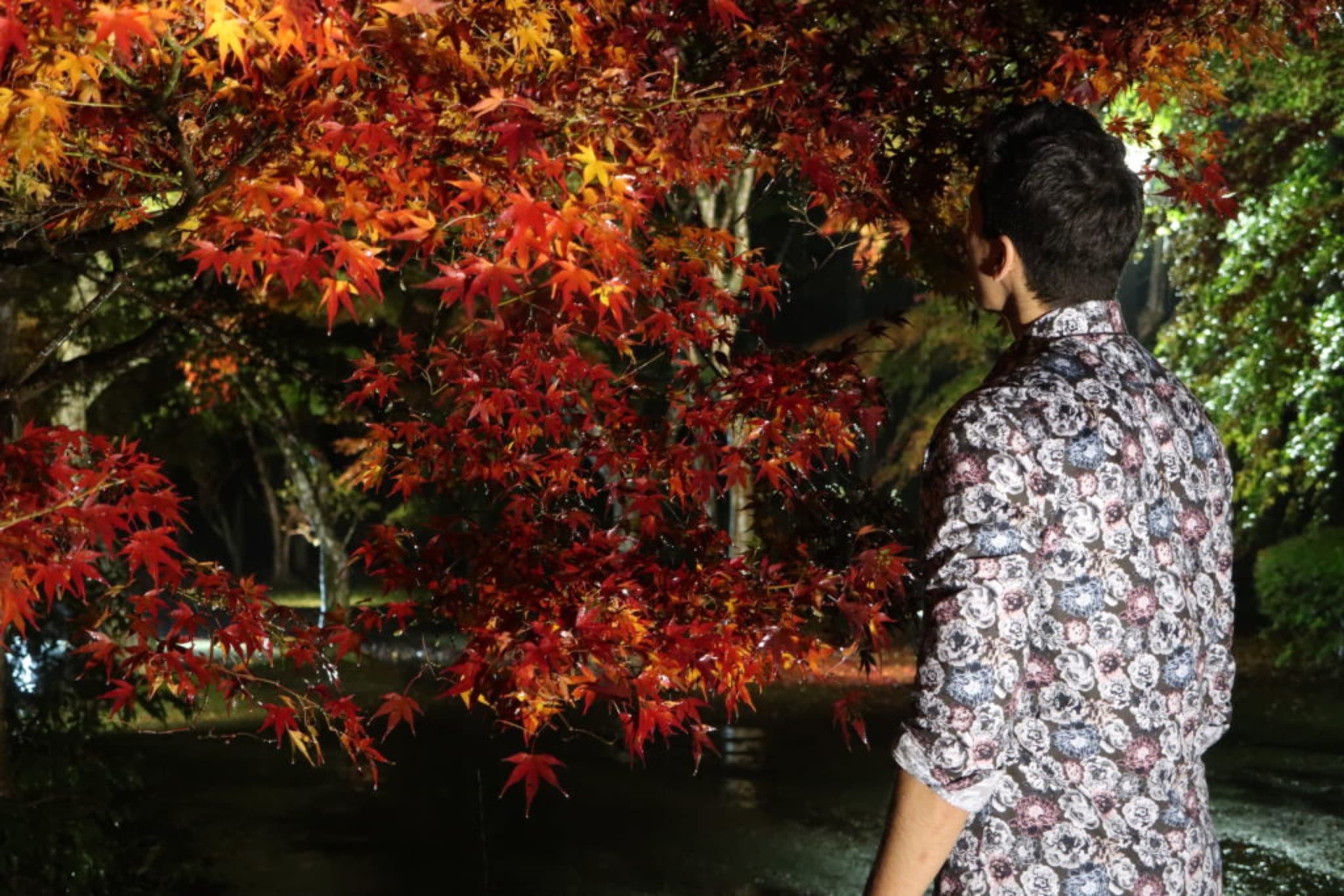 automne japon