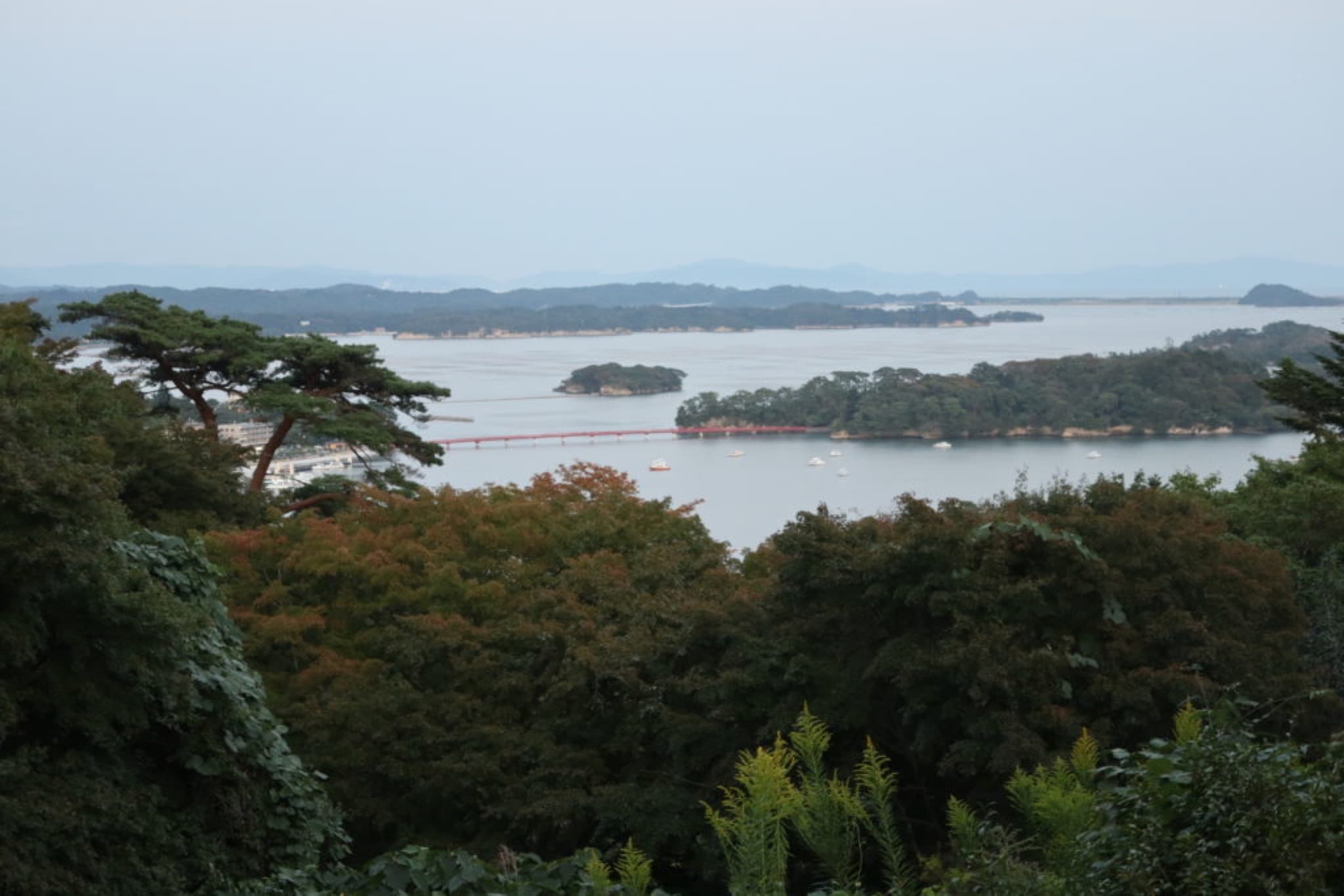 matsushima