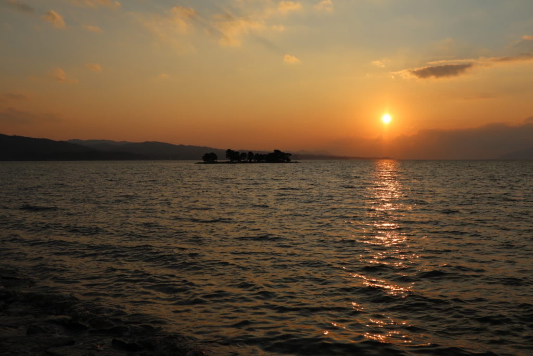 lac shinji