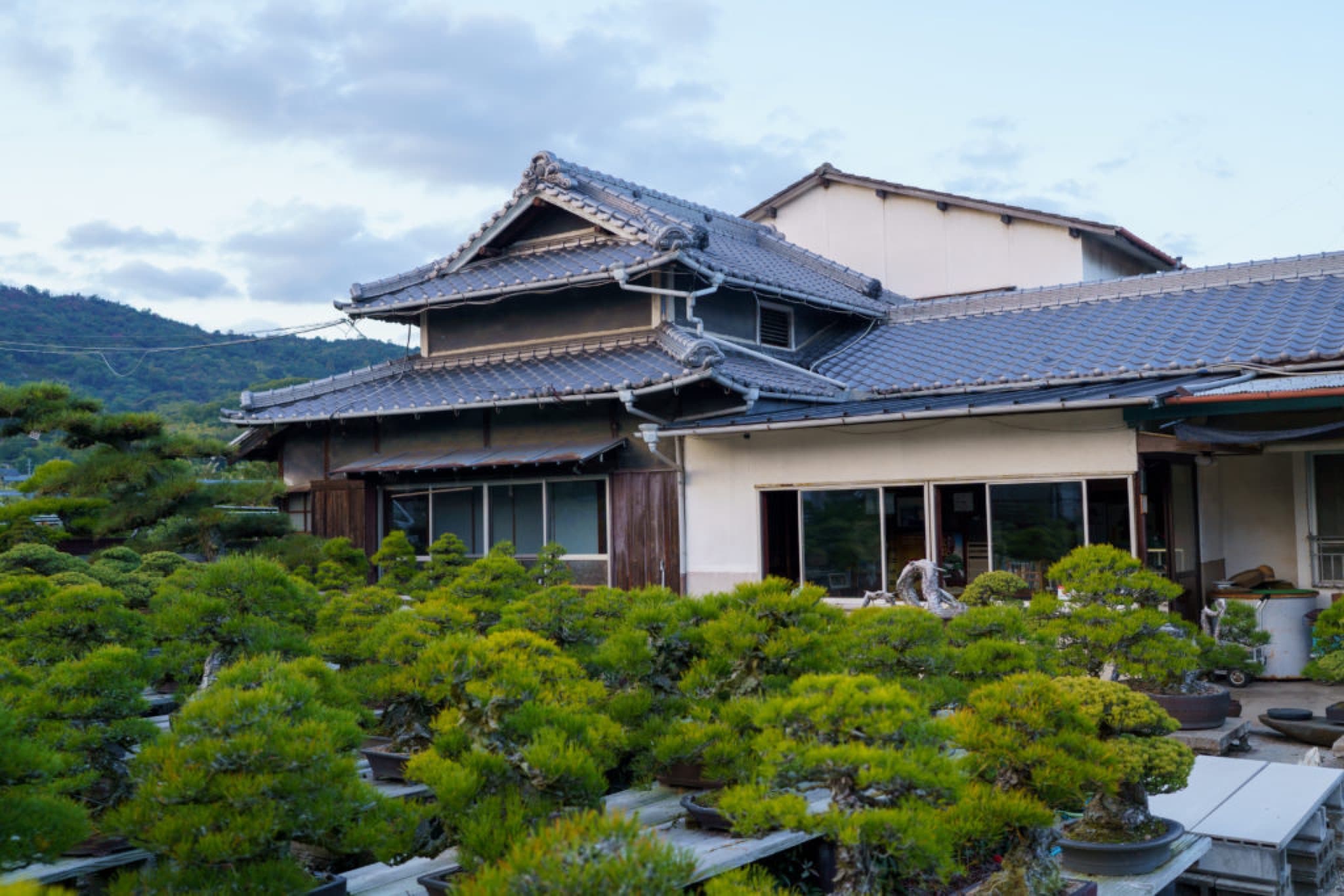 kandaka shojuen