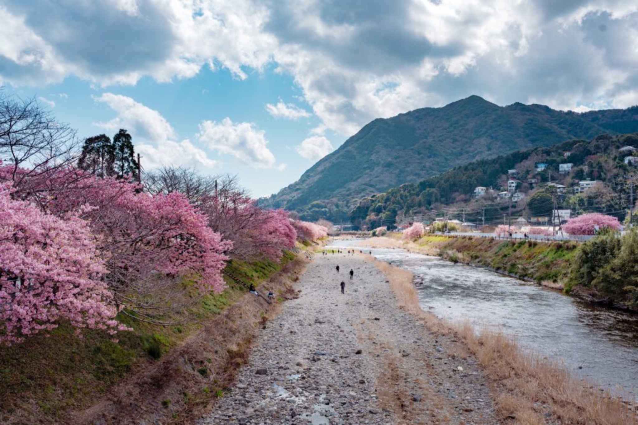 Kawazu fin février.