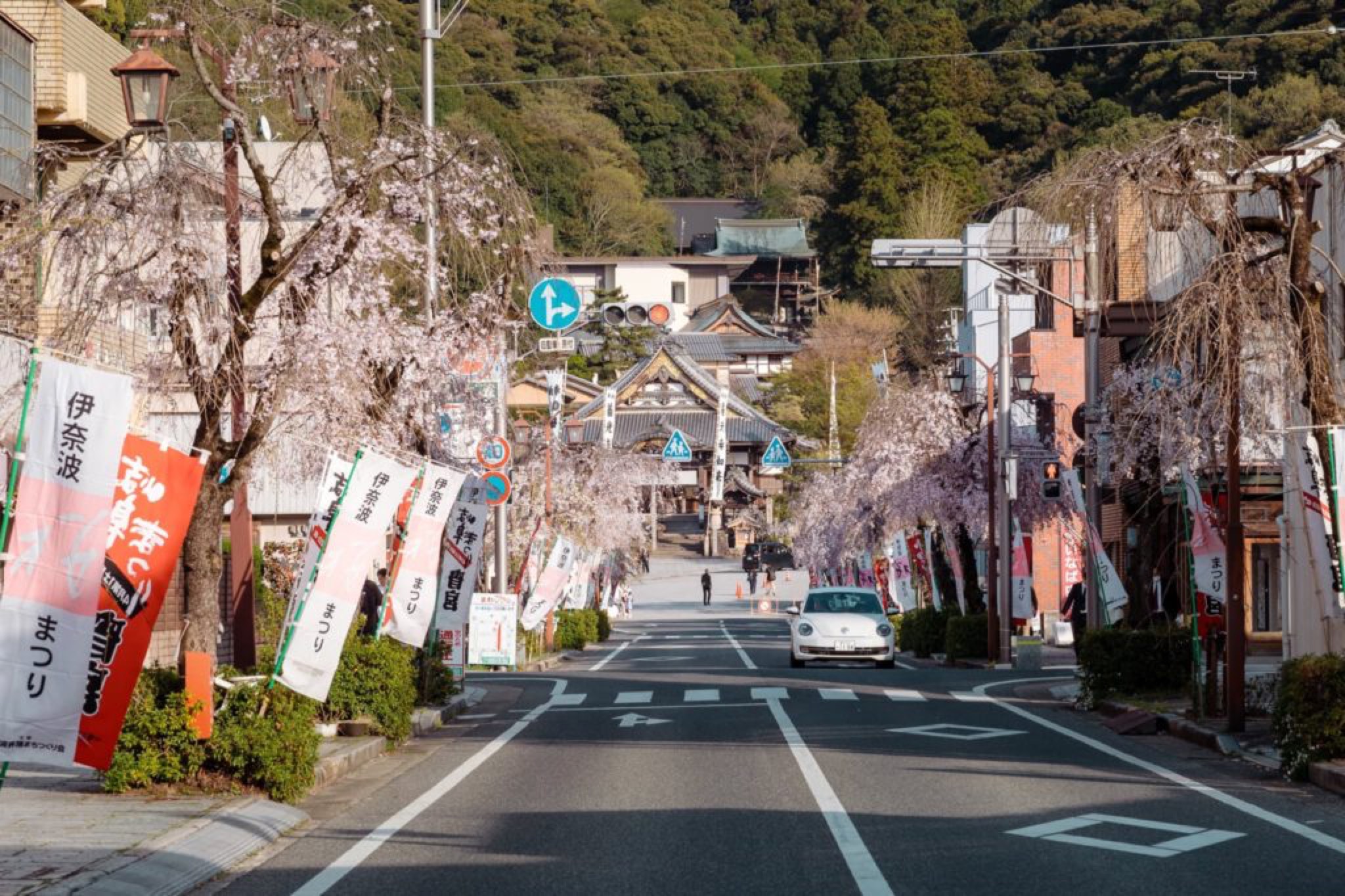 inaba jinja sakura