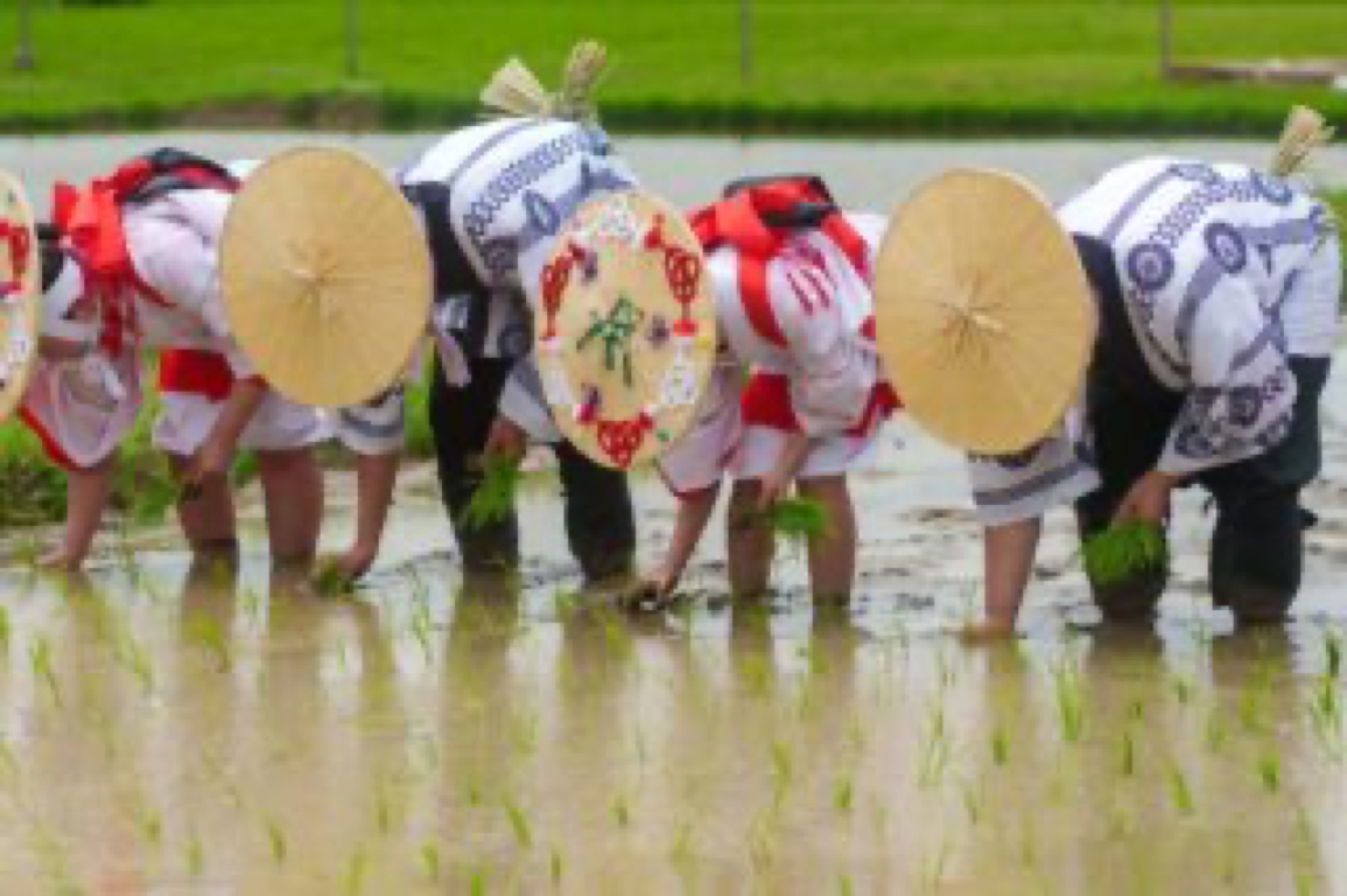 izawanomiya otaue matsuri