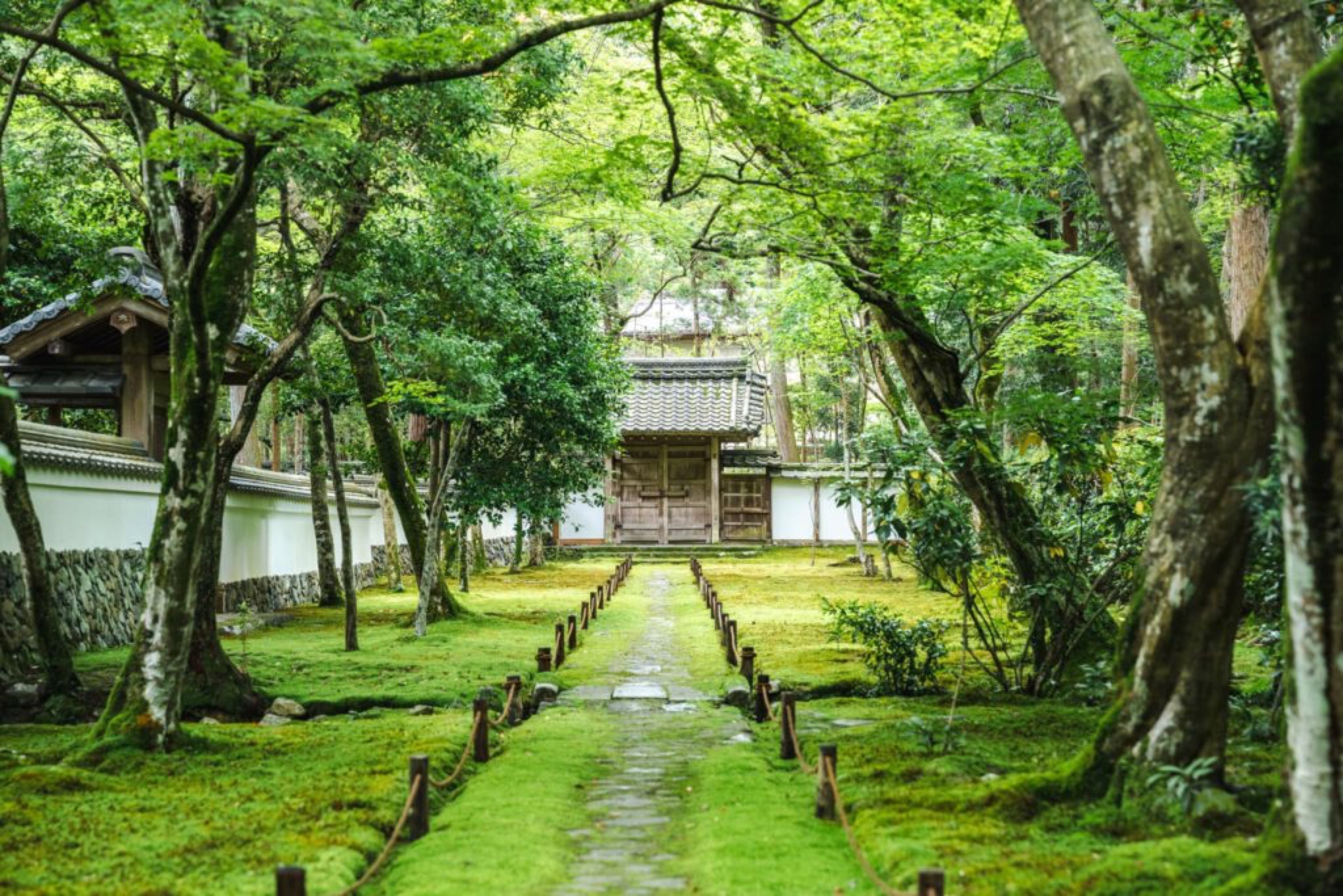 saihoji temple