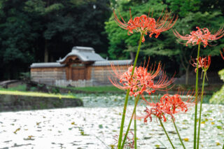 septembre au japon