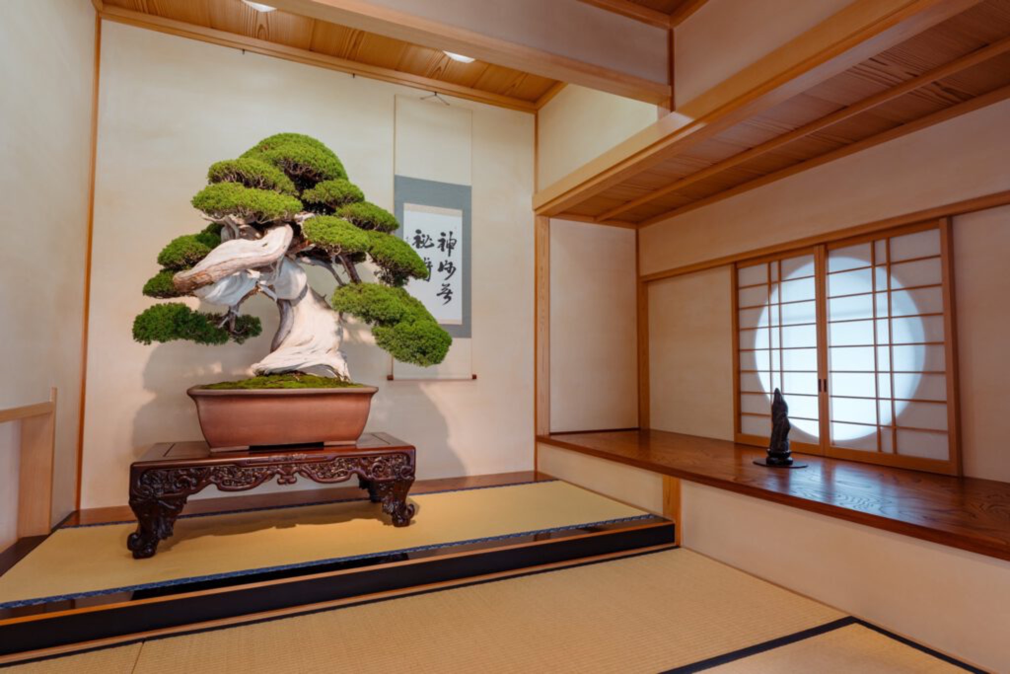 omiya bonsai musée