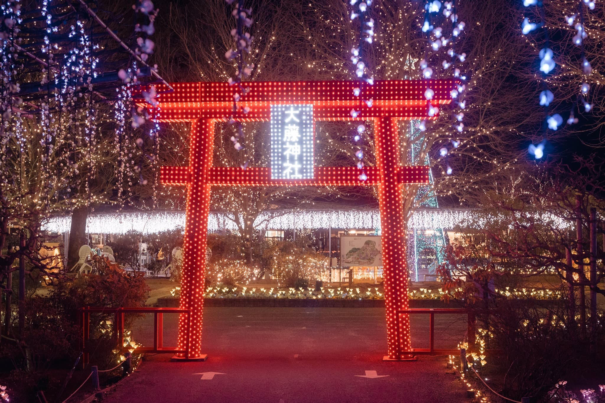 ashikaga flower park