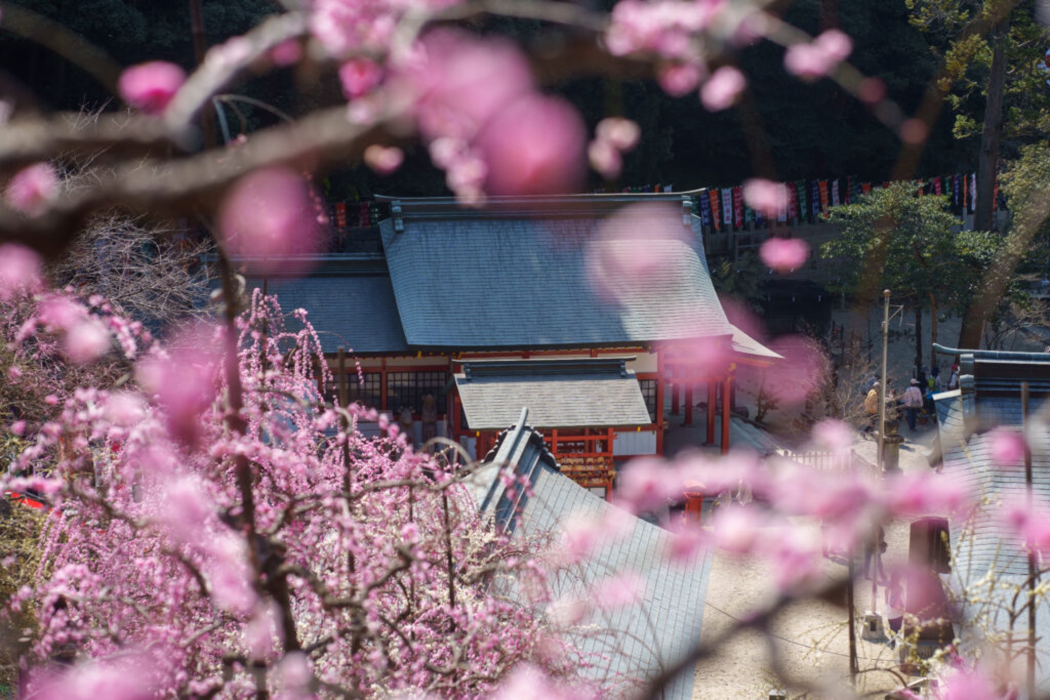 ogata jinja