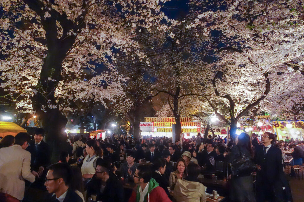 yasukuni sakura