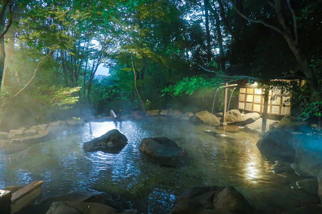 nihon no ashitaba