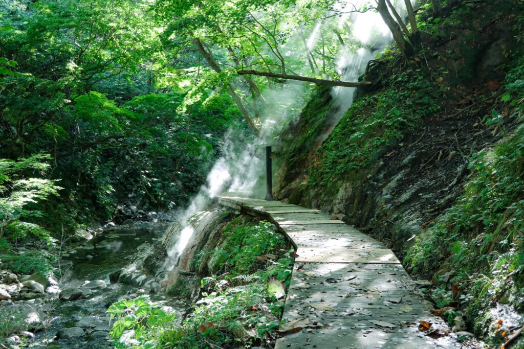 onikobe onsen jigokudani