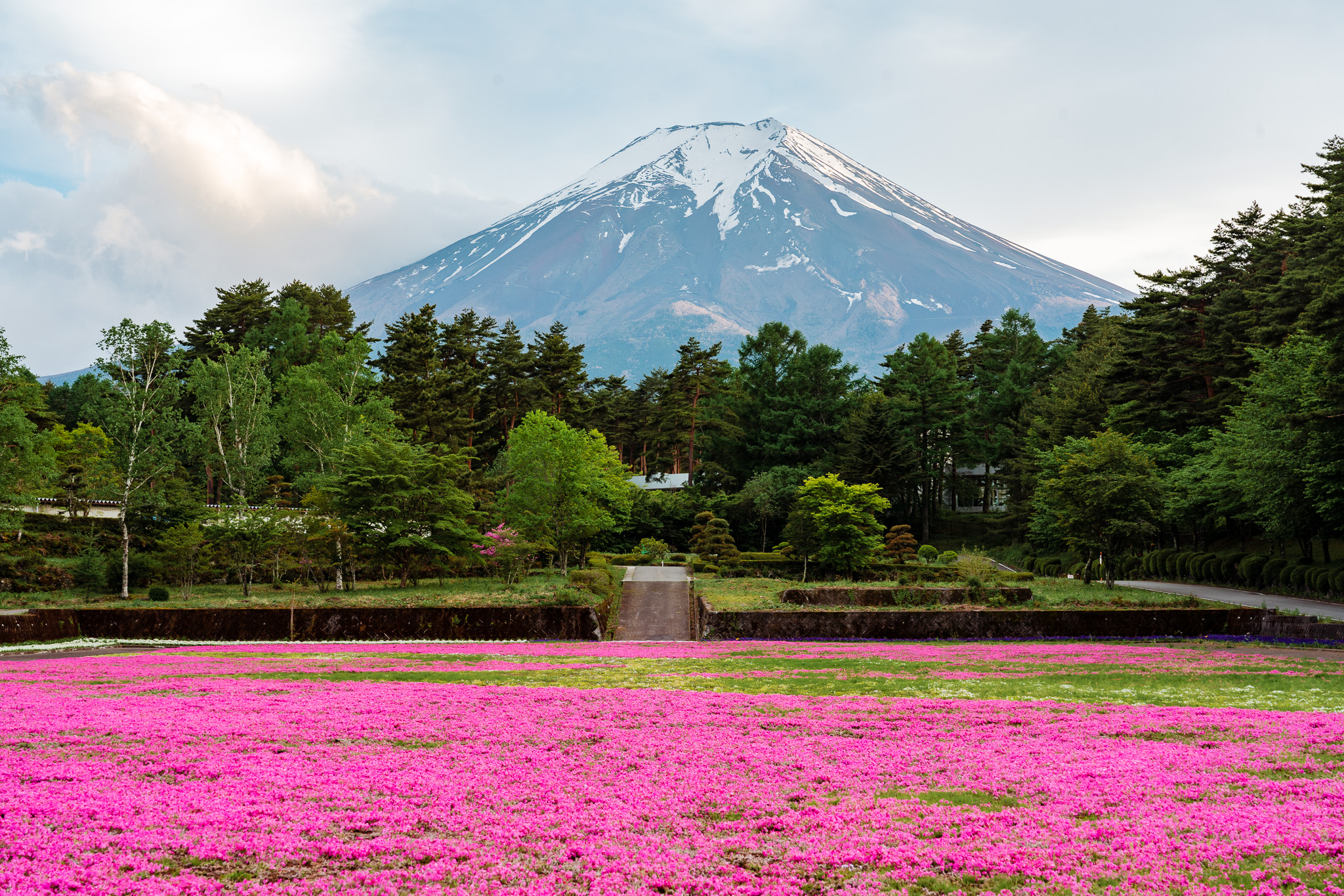 onshirin fujiyoshida
