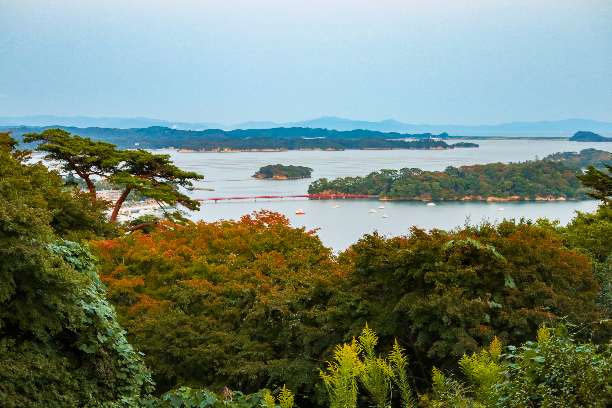 matsushima vue