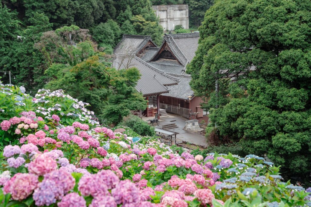 20 lieux pour profiter des hortensias au Japon en 2024
