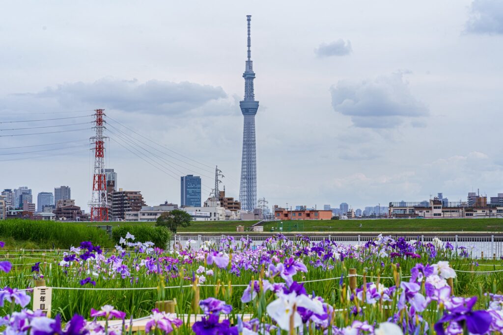 tokyo skytree iris