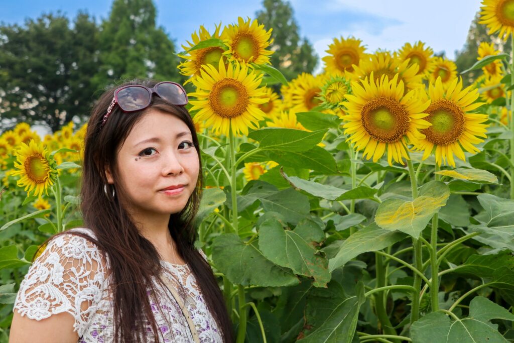 tournesols japon